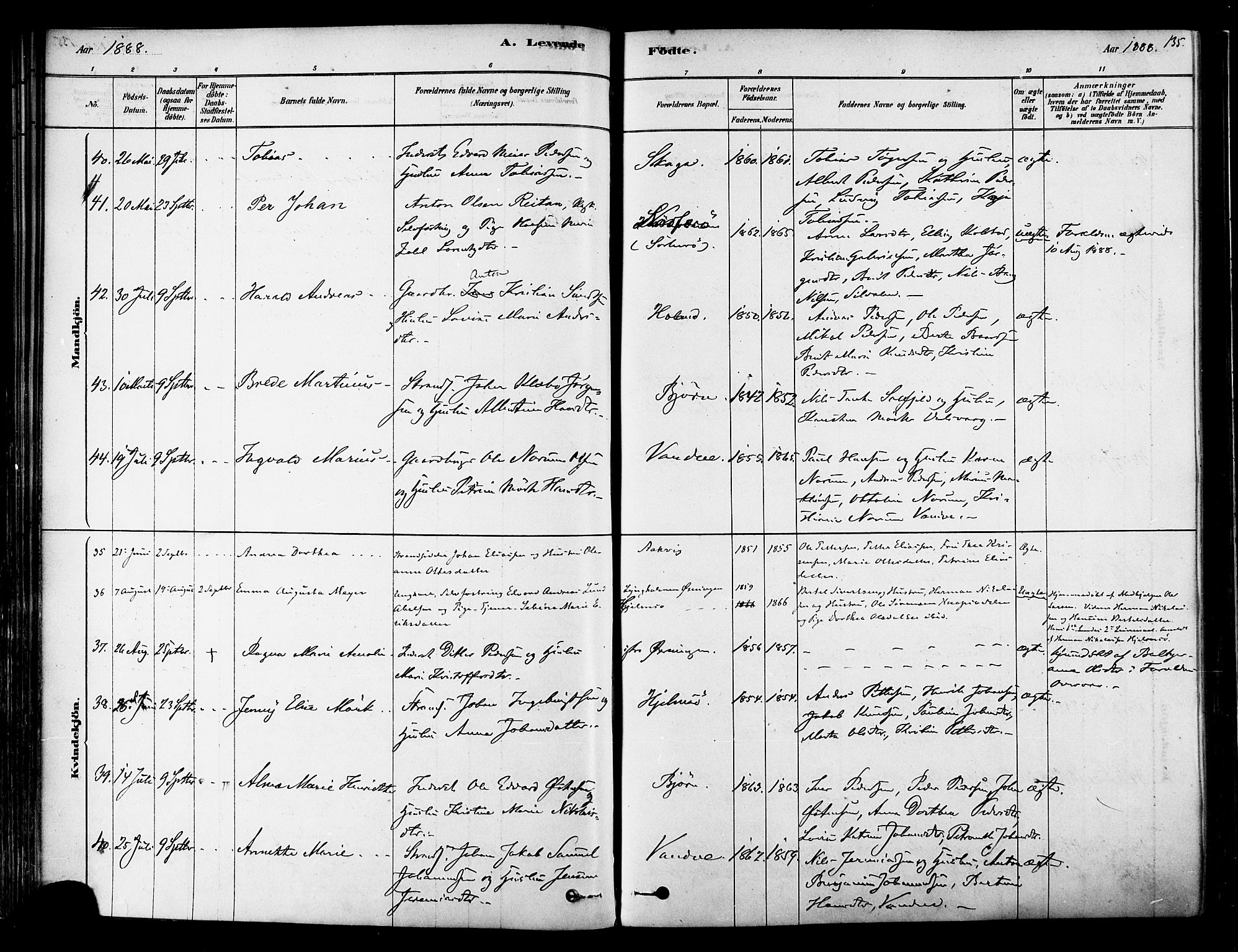 Ministerialprotokoller, klokkerbøker og fødselsregistre - Nordland, SAT/A-1459/834/L0507: Parish register (official) no. 834A05, 1878-1892, p. 135