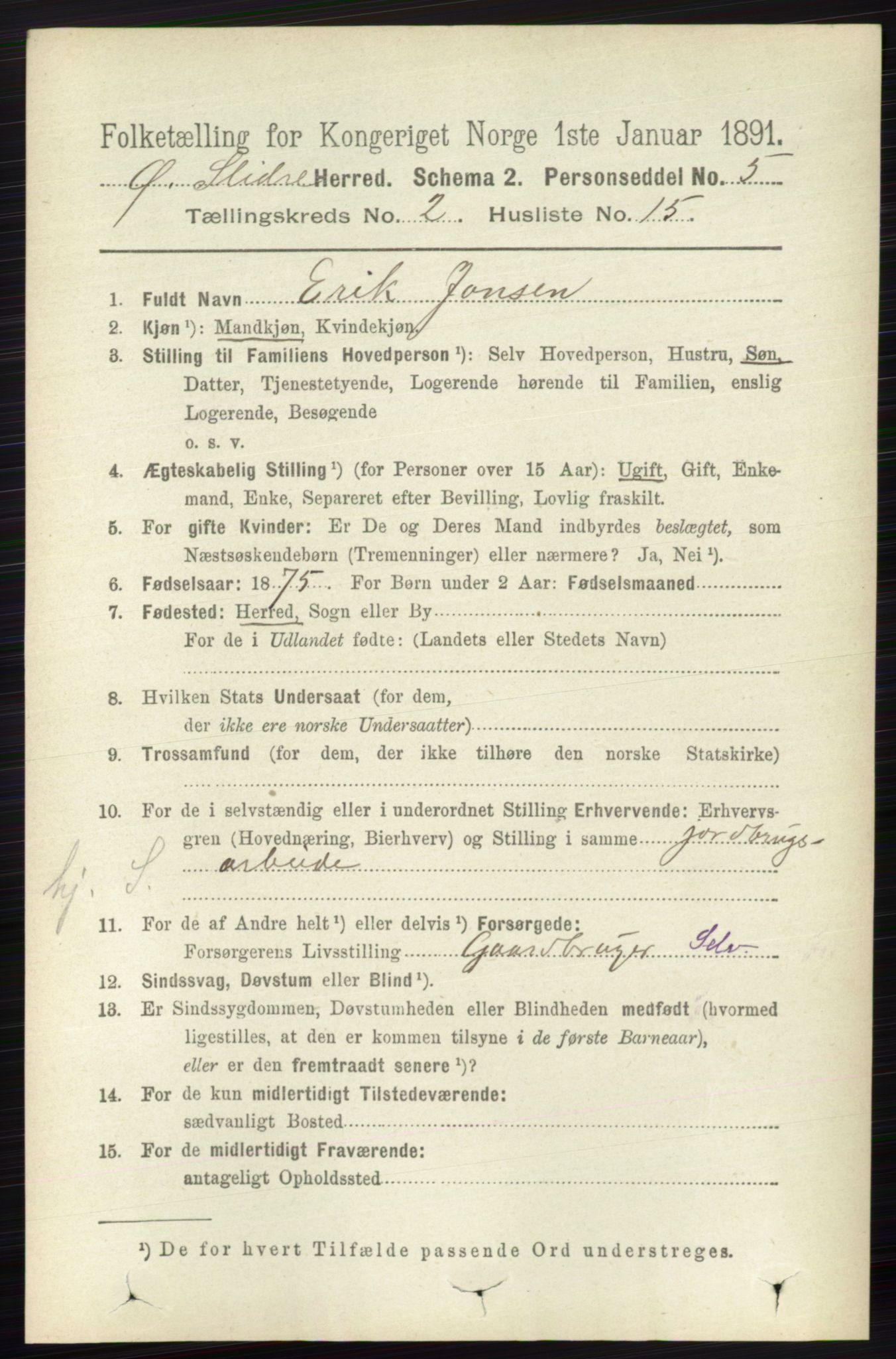 RA, 1891 census for 0544 Øystre Slidre, 1891, p. 355