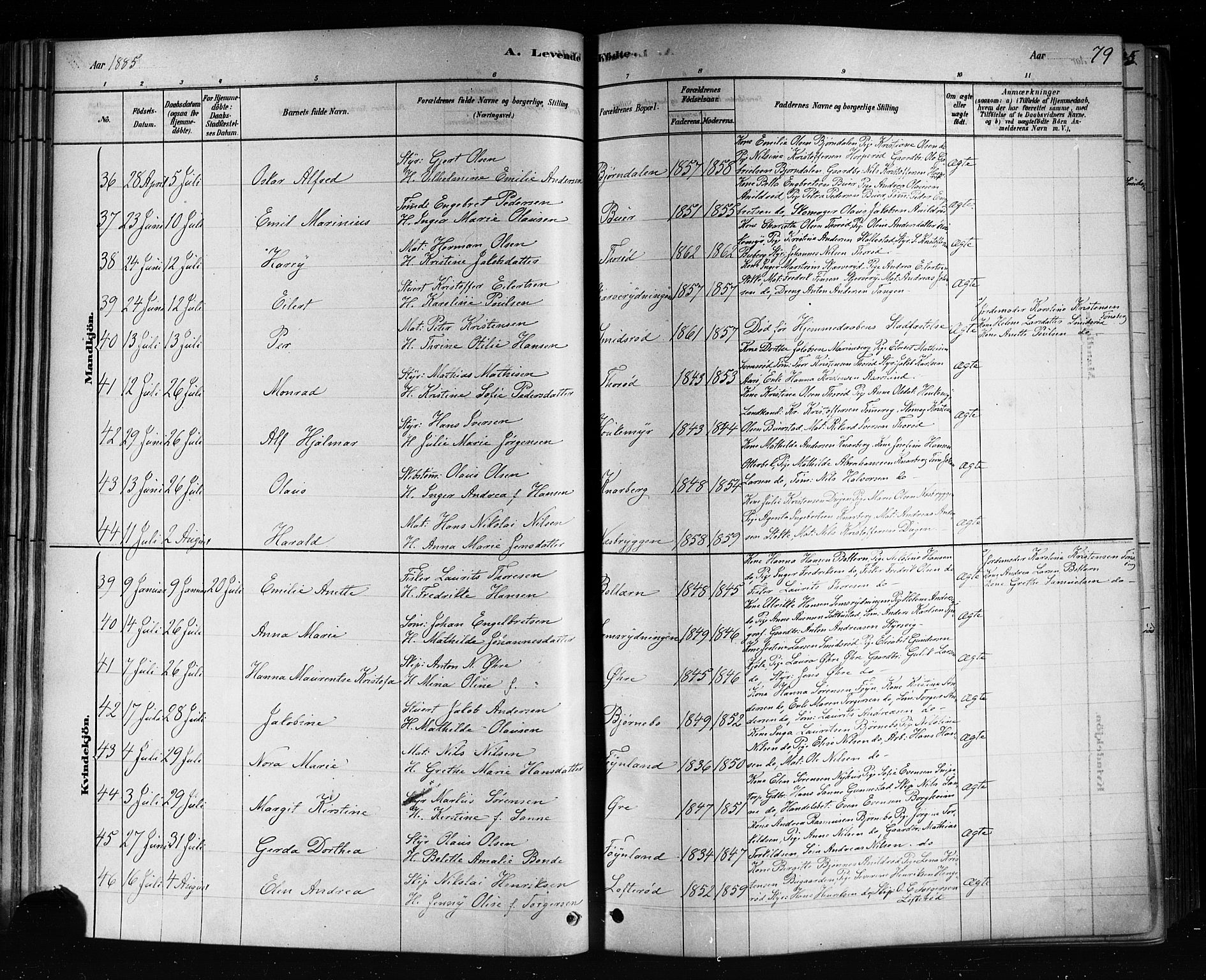 Nøtterøy kirkebøker, AV/SAKO-A-354/F/Fa/L0008: Parish register (official) no. I 8, 1878-1893, p. 79