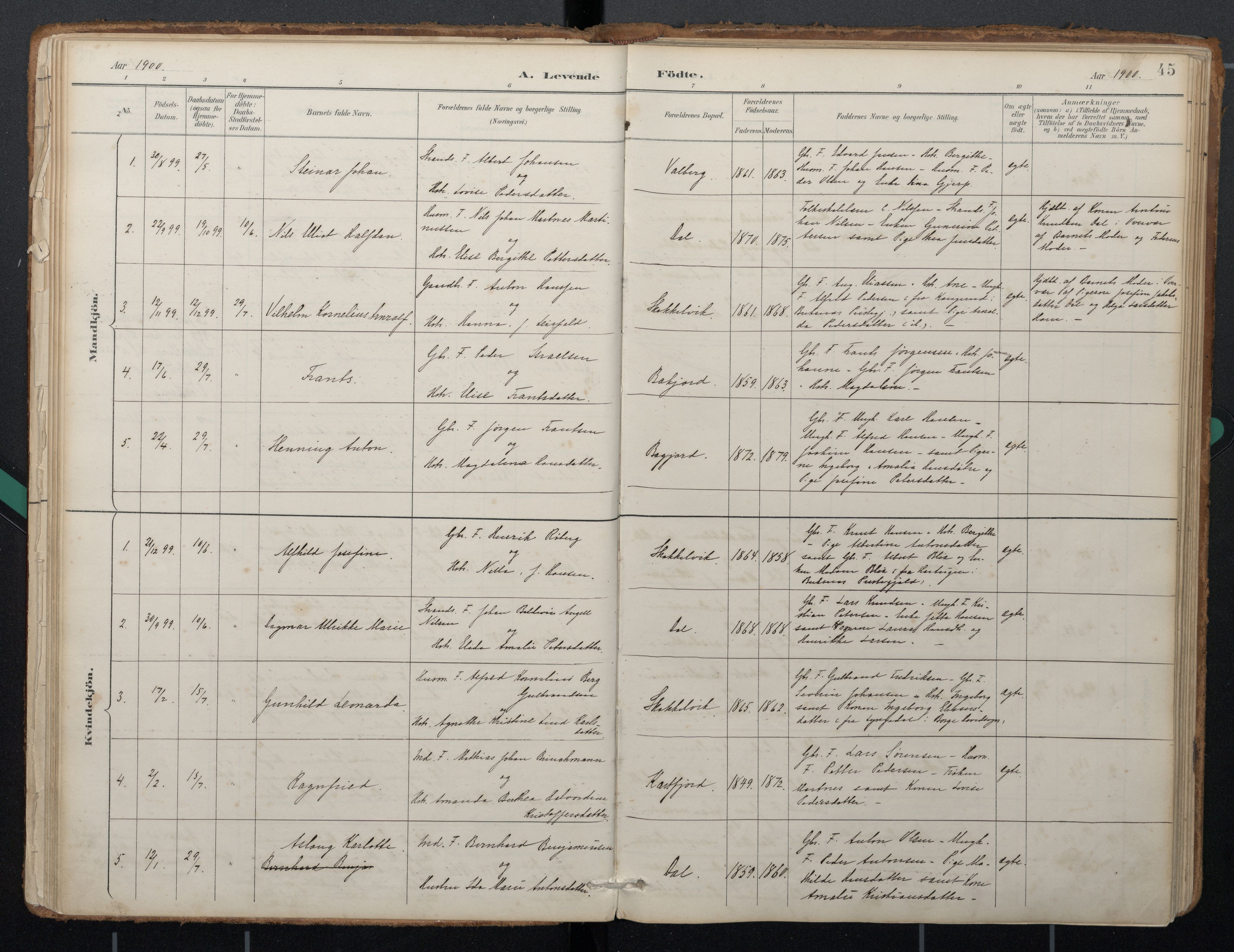 Ministerialprotokoller, klokkerbøker og fødselsregistre - Nordland, AV/SAT-A-1459/884/L1193: Parish register (official) no. 884A01, 1888-1905, p. 45