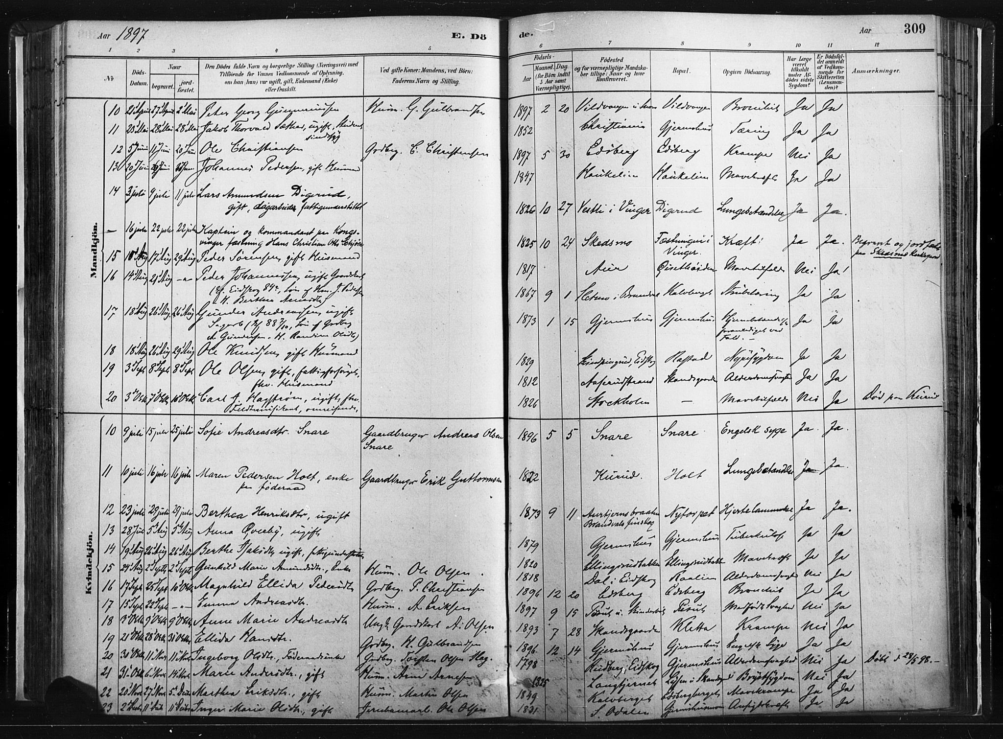 Vinger prestekontor, SAH/PREST-024/H/Ha/Haa/L0014: Parish register (official) no. 14, 1881-1900, p. 309