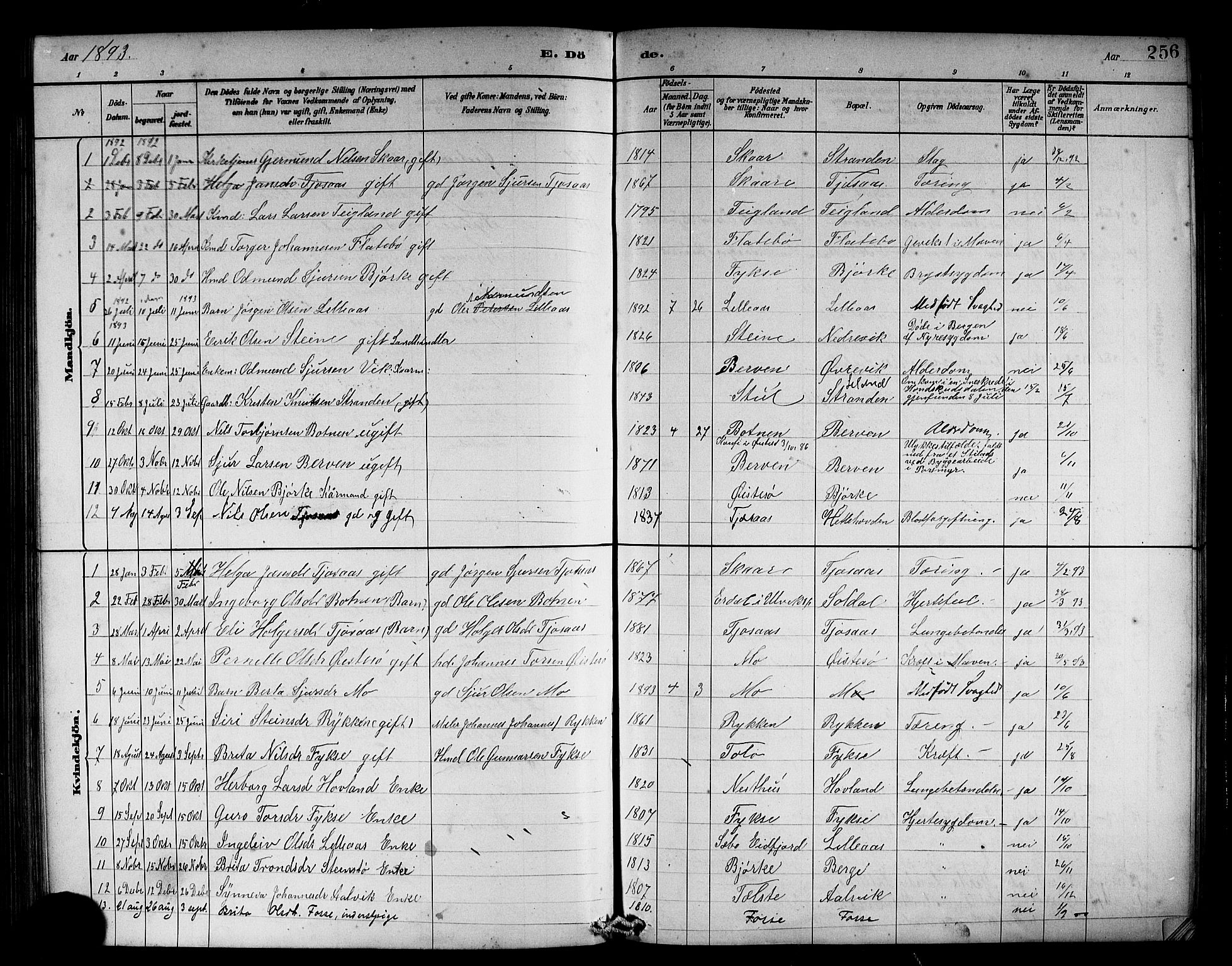 Kvam sokneprestembete, SAB/A-76201/H/Hab: Parish register (copy) no. C 3, 1881-1905, p. 256