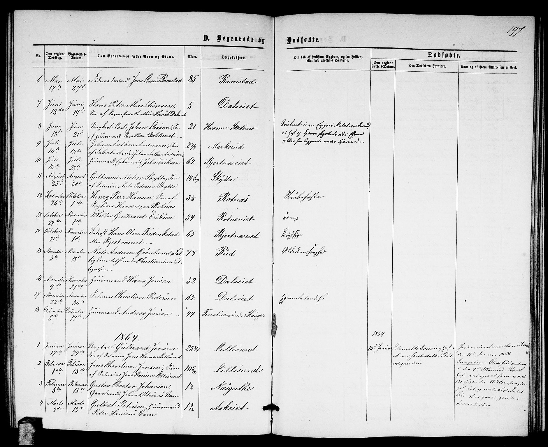 Nittedal prestekontor Kirkebøker, AV/SAO-A-10365a/G/Ga/L0001: Parish register (copy) no. I 1, 1859-1878, p. 197