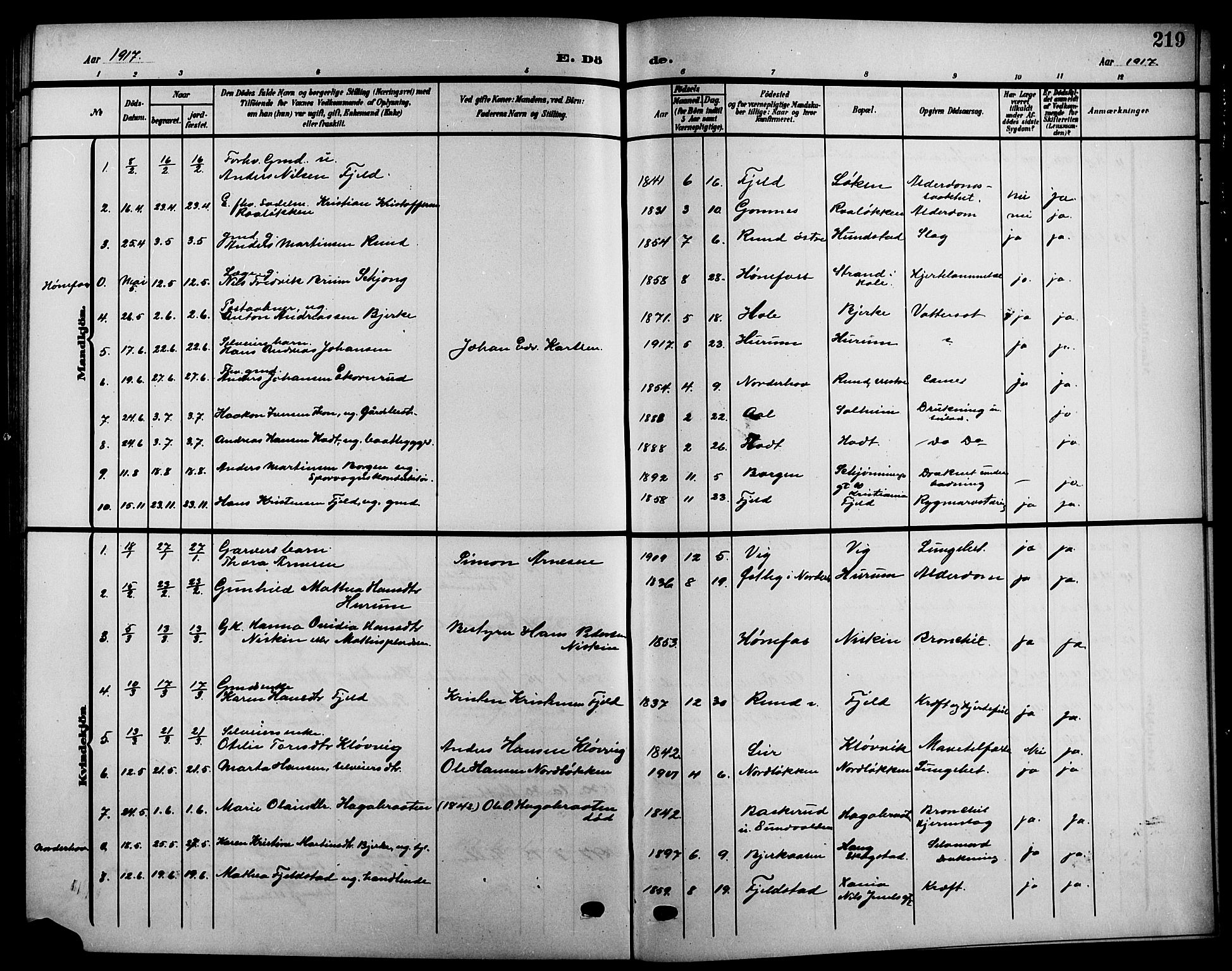 Hole kirkebøker, AV/SAKO-A-228/G/Ga/L0004: Parish register (copy) no. I 4, 1905-1924, p. 219