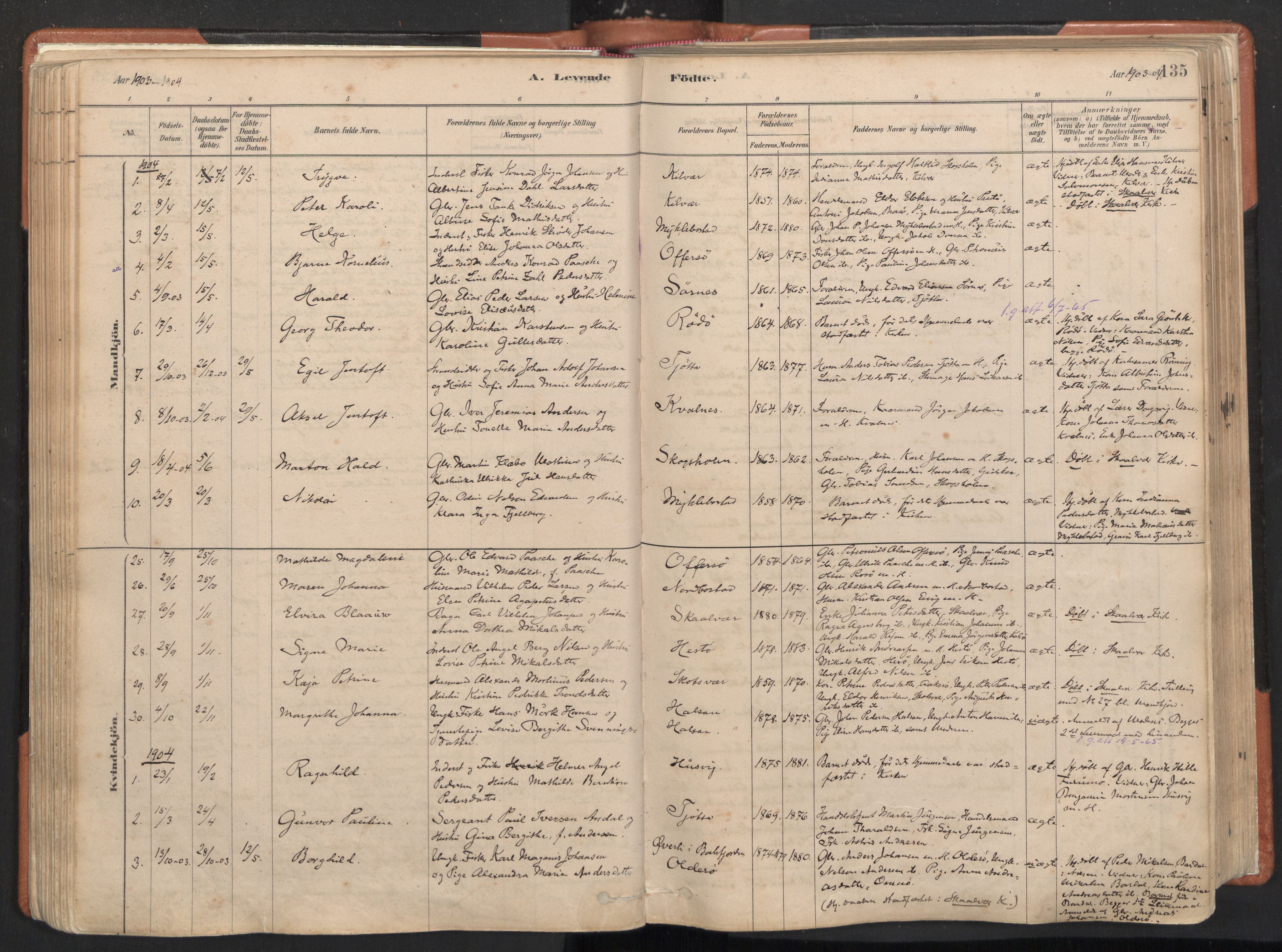 Ministerialprotokoller, klokkerbøker og fødselsregistre - Nordland, AV/SAT-A-1459/817/L0264: Parish register (official) no. 817A04, 1878-1907, p. 135