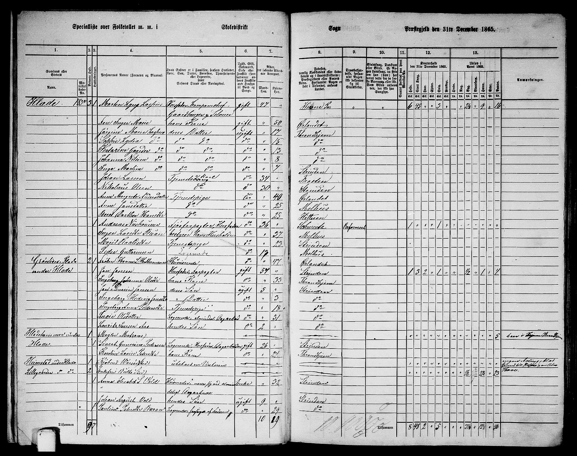 RA, 1865 census for Strinda, 1865, p. 14