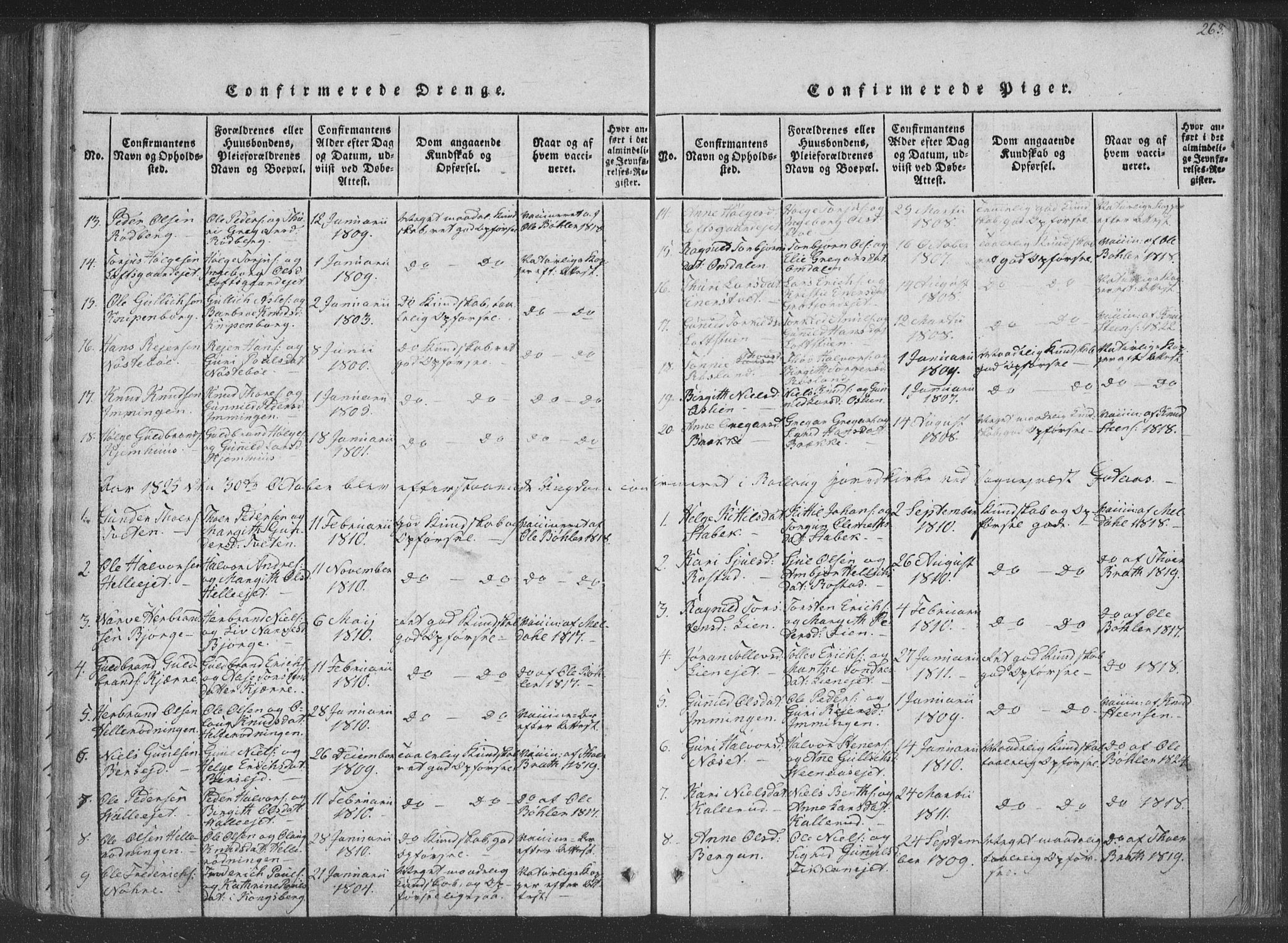 Rollag kirkebøker, SAKO/A-240/F/Fa/L0006: Parish register (official) no. I 6, 1814-1828, p. 263