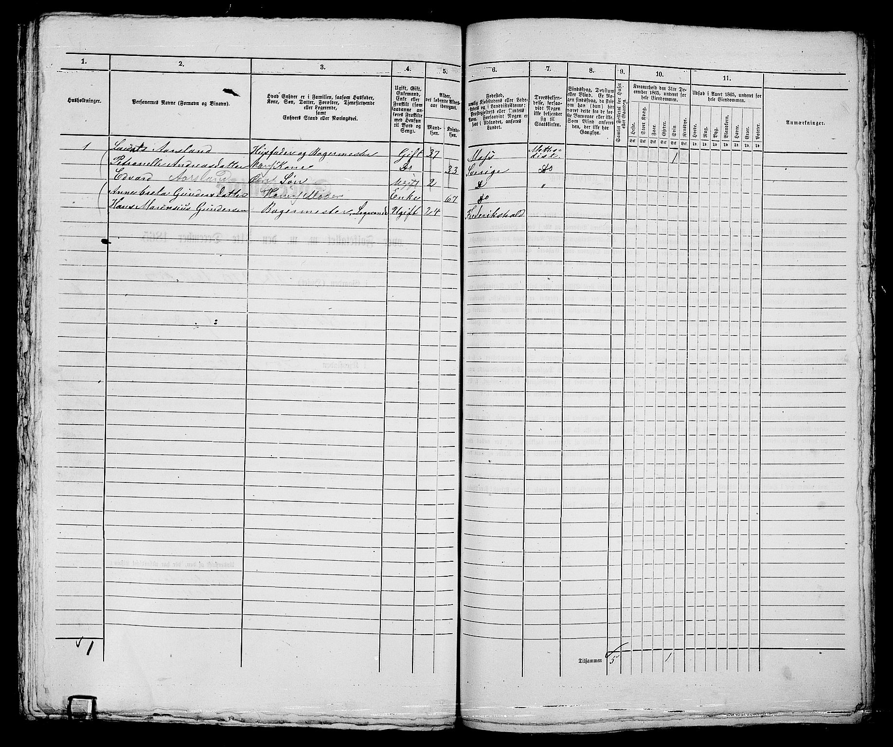 RA, 1865 census for Sarpsborg, 1865, p. 494