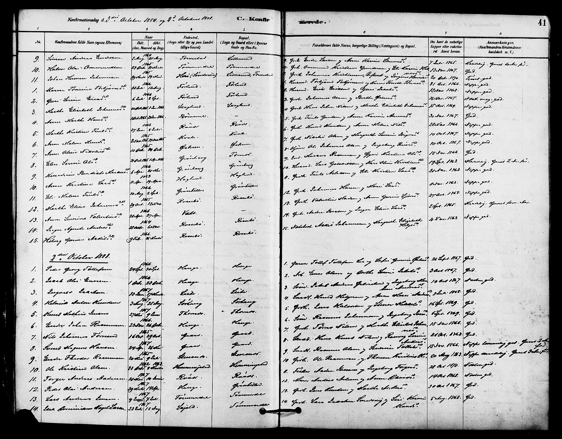 Haugesund sokneprestkontor, SAST/A -101863/H/Ha/Haa/L0002: Parish register (official) no. A 2, 1878-1886, p. 41