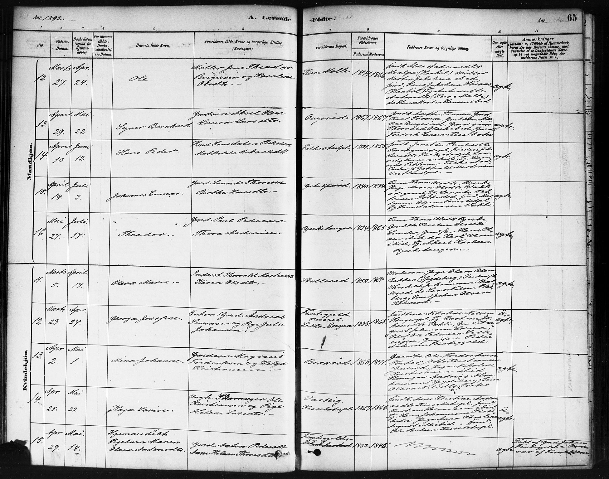 Våler prestekontor Kirkebøker, AV/SAO-A-11083/F/Fa/L0010: Parish register (official) no. I 10, 1878-1896, p. 65