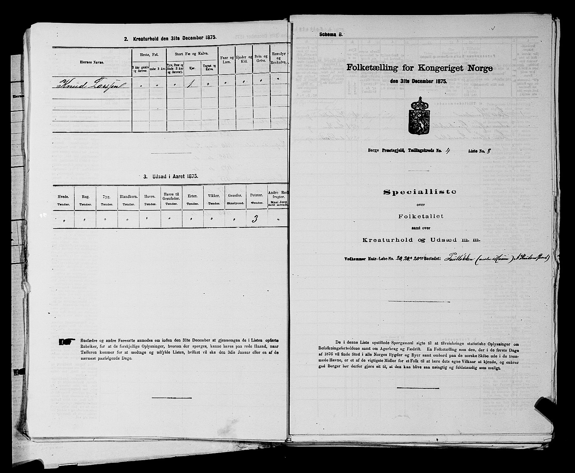 RA, 1875 census for 0113P Borge, 1875, p. 532
