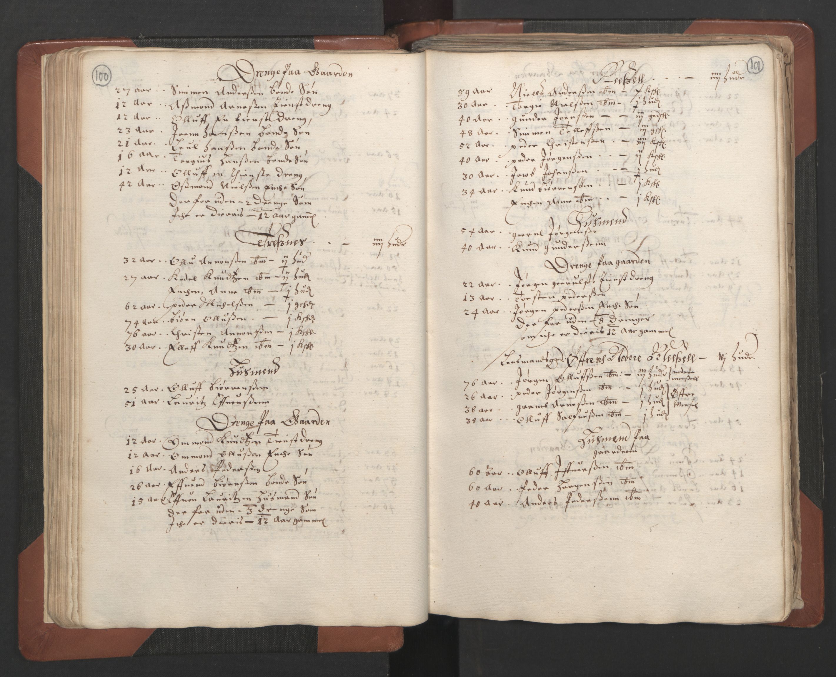 RA, Bailiff's Census 1664-1666, no. 7: Nedenes fogderi, 1664-1666, p. 100-101