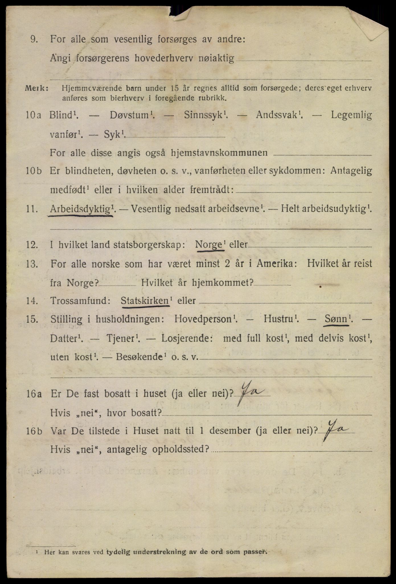 SAKO, 1920 census for Skien, 1920, p. 15163