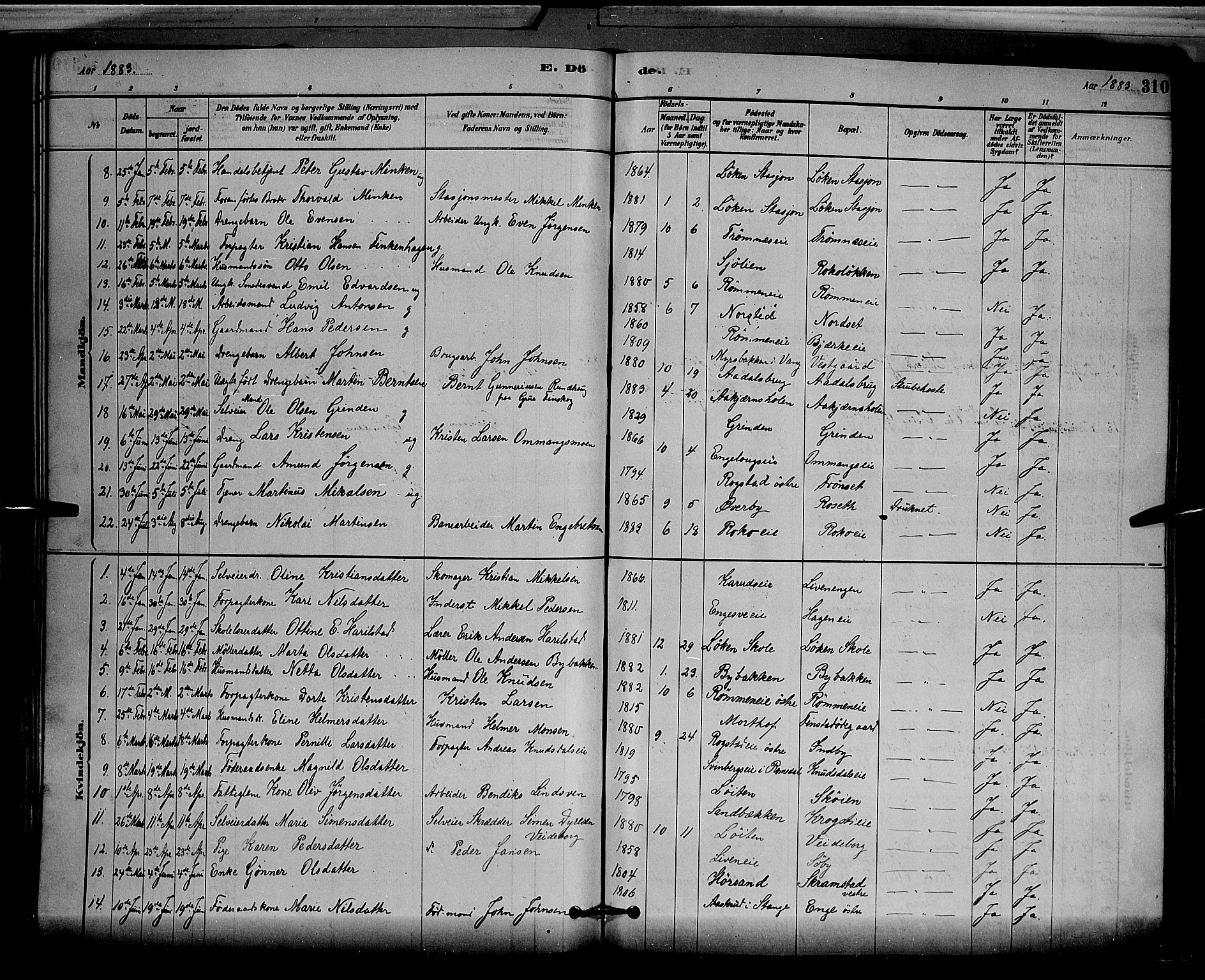 Løten prestekontor, SAH/PREST-022/L/La/L0005: Parish register (copy) no. 5, 1878-1891, p. 310
