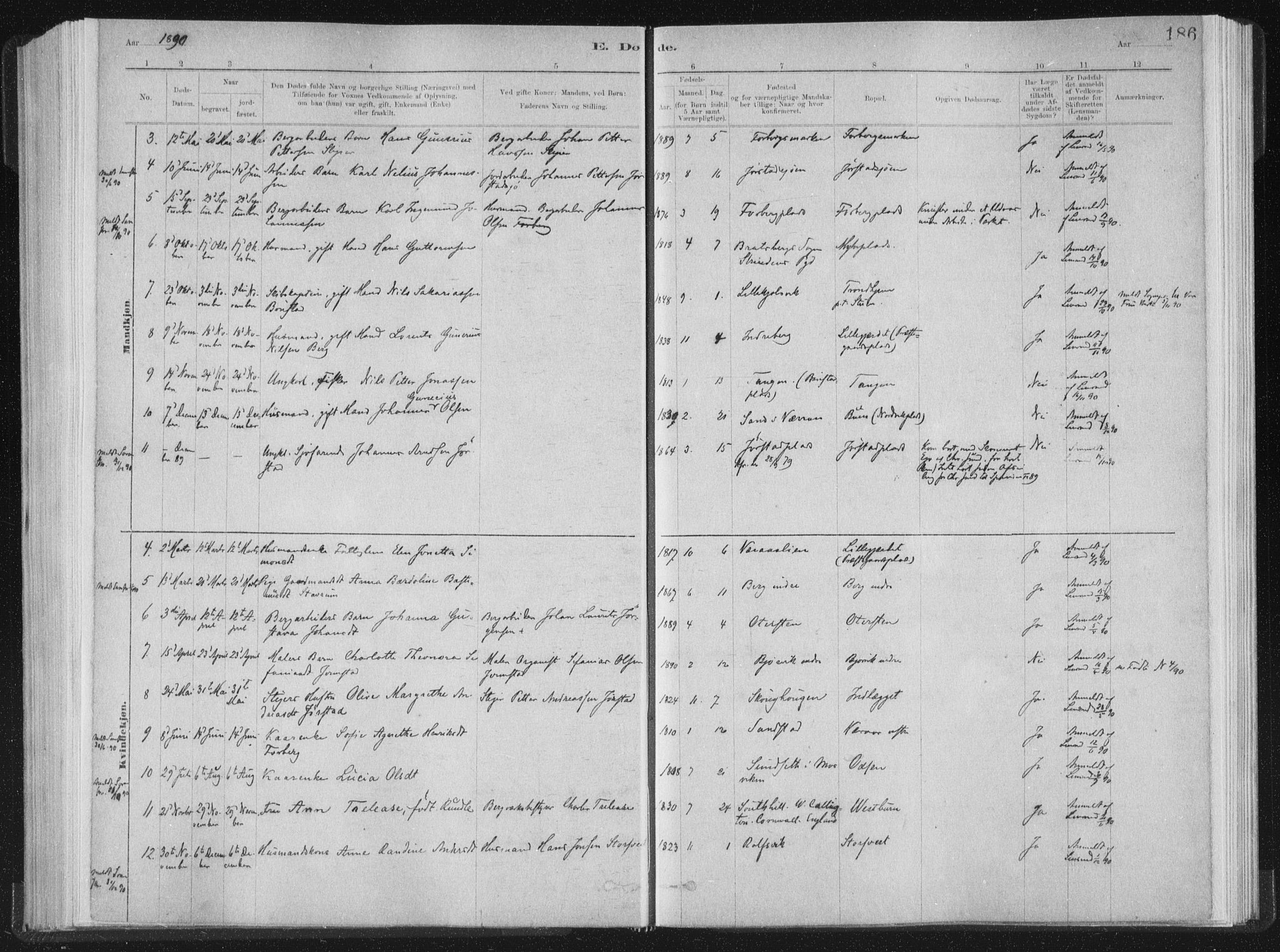 Ministerialprotokoller, klokkerbøker og fødselsregistre - Nord-Trøndelag, SAT/A-1458/722/L0220: Parish register (official) no. 722A07, 1881-1908, p. 186