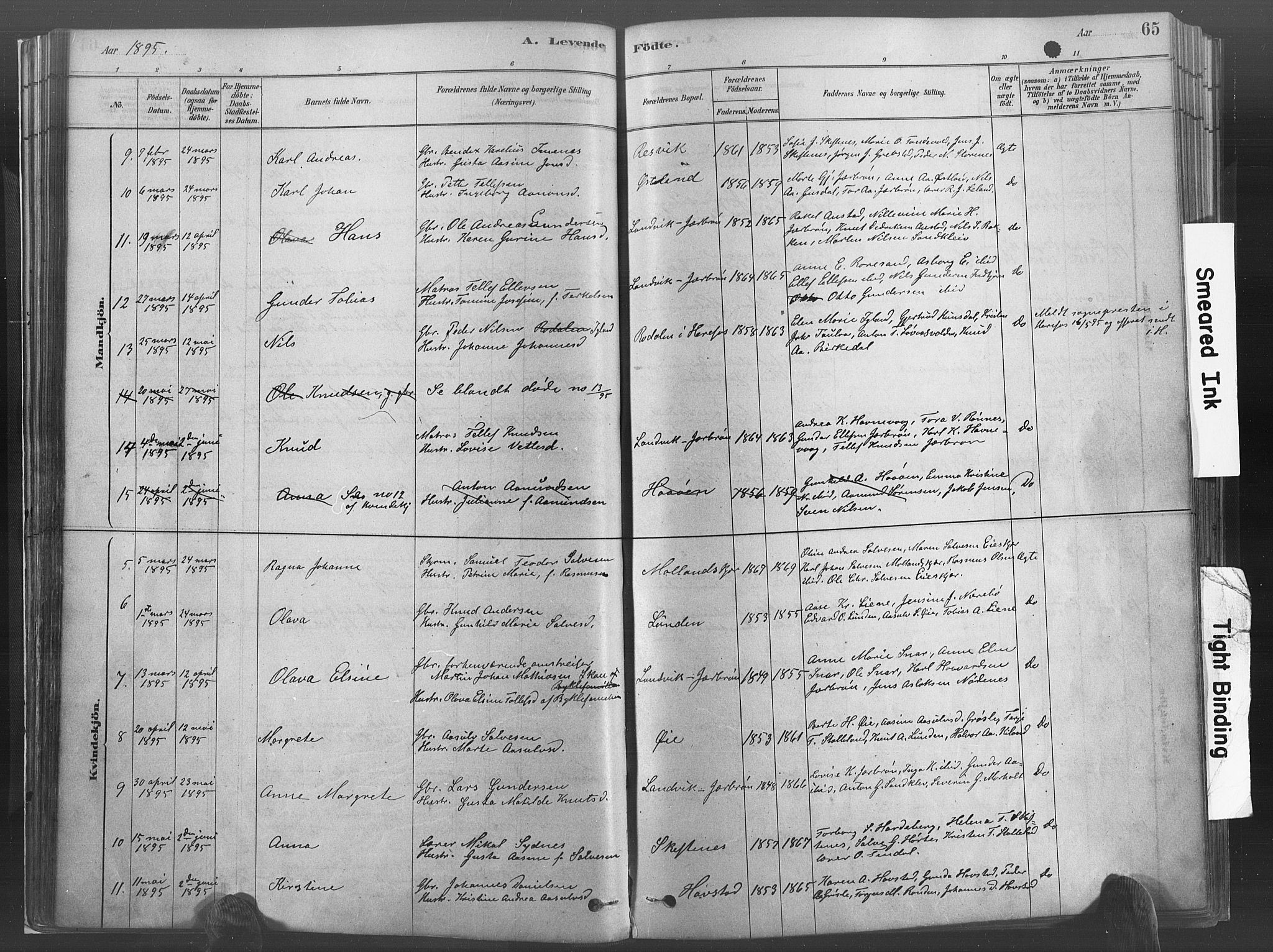 Hommedal sokneprestkontor, AV/SAK-1111-0023/F/Fa/Fab/L0006: Parish register (official) no. A 6, 1878-1897, p. 65