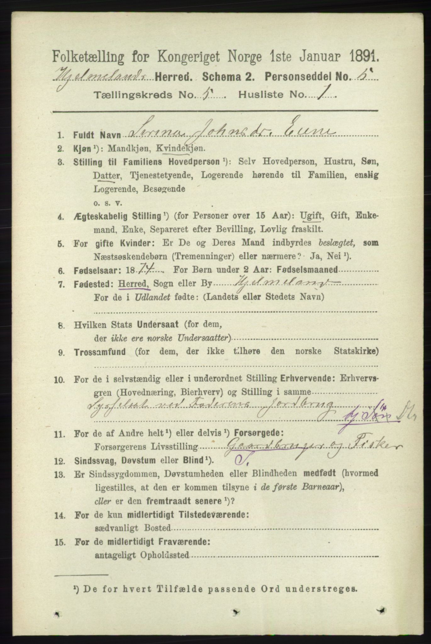 RA, 1891 census for 1133 Hjelmeland, 1891, p. 1155