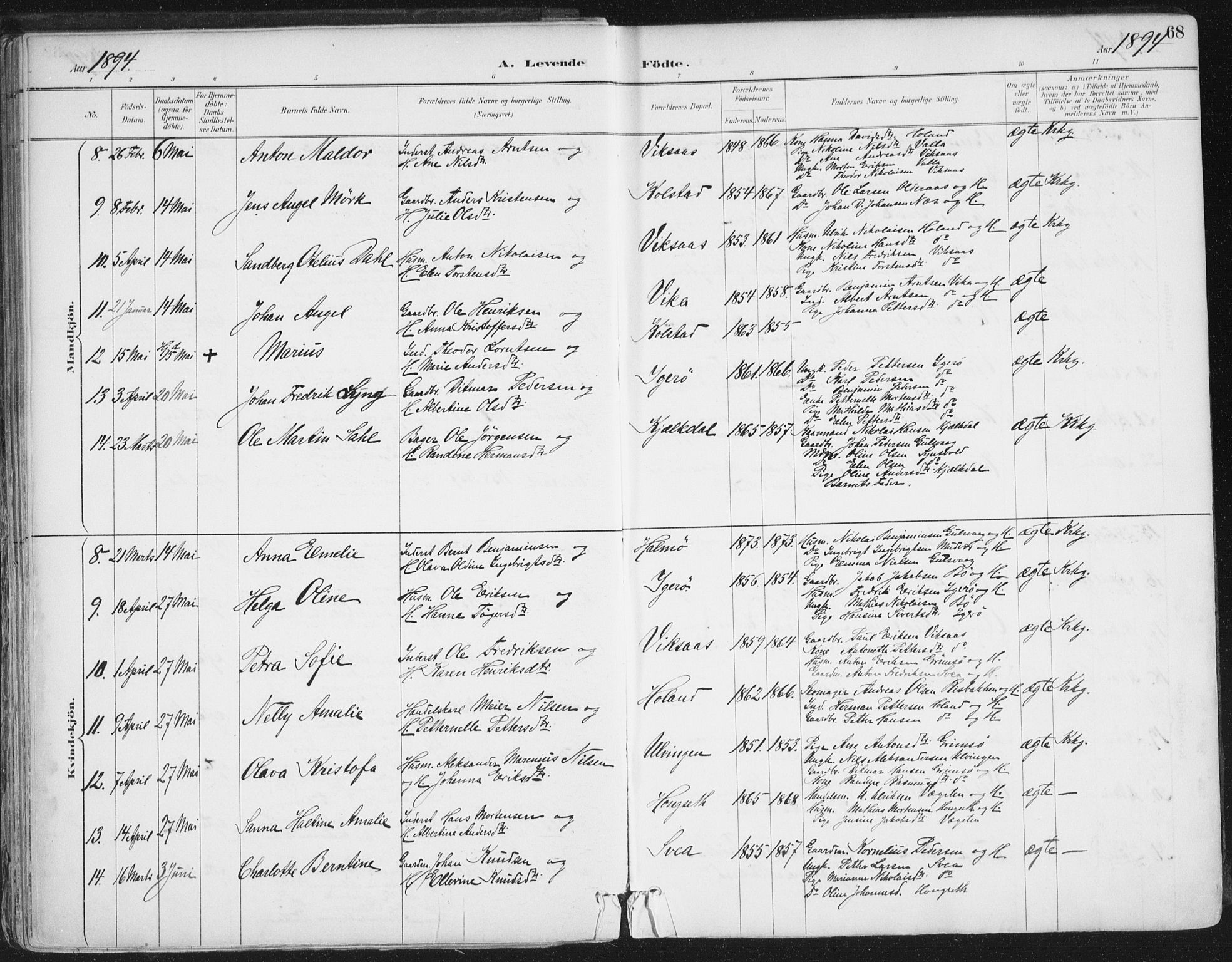 Ministerialprotokoller, klokkerbøker og fødselsregistre - Nordland, AV/SAT-A-1459/816/L0244: Parish register (official) no. 816A10, 1886-1903, p. 68