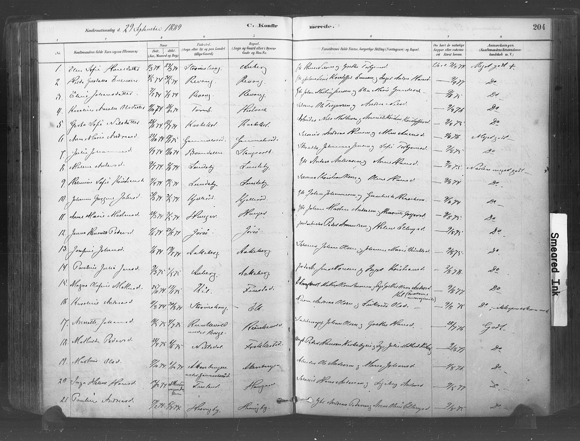 Råde prestekontor kirkebøker, AV/SAO-A-2009/F/Fa/L0007: Parish register (official) no. 7, 1878-1902, p. 204