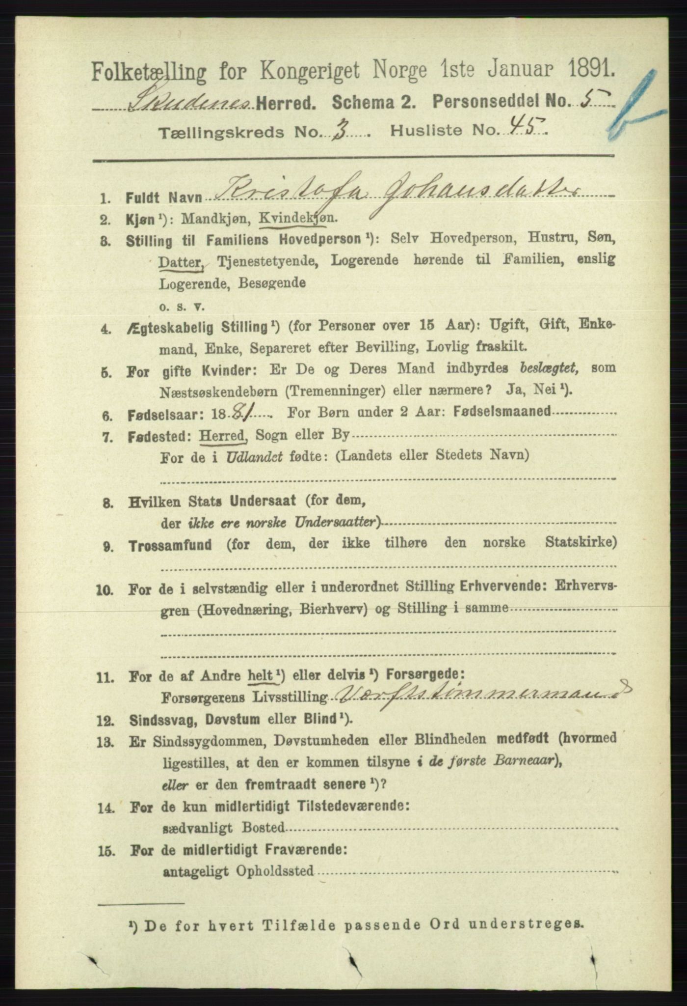 RA, 1891 census for 1150 Skudenes, 1891, p. 4235