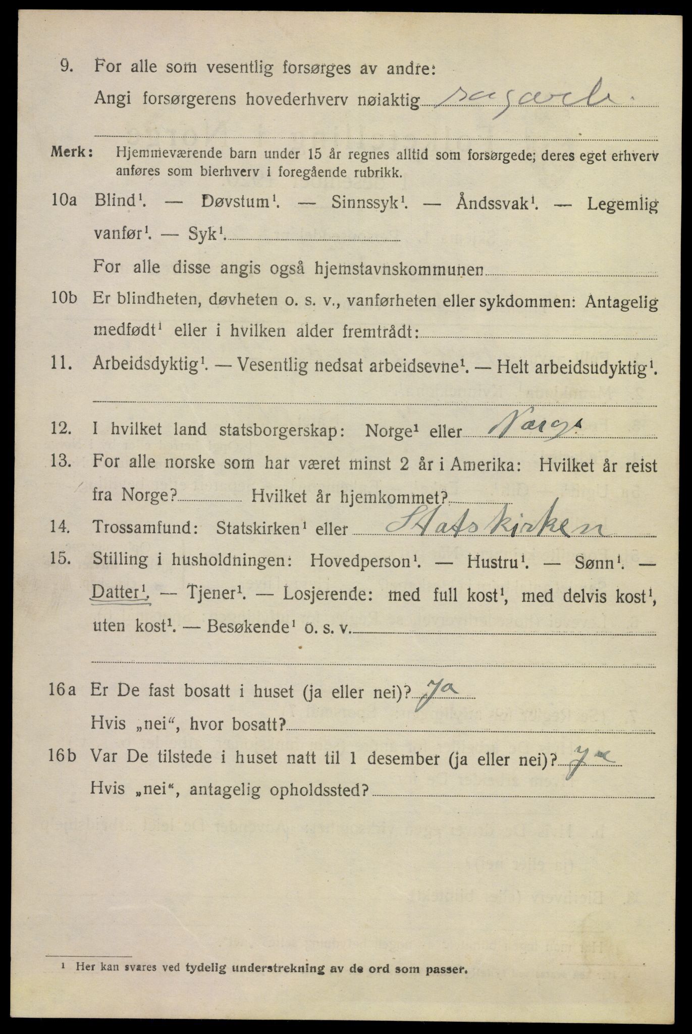 SAKO, 1920 census for Larvik, 1920, p. 11321