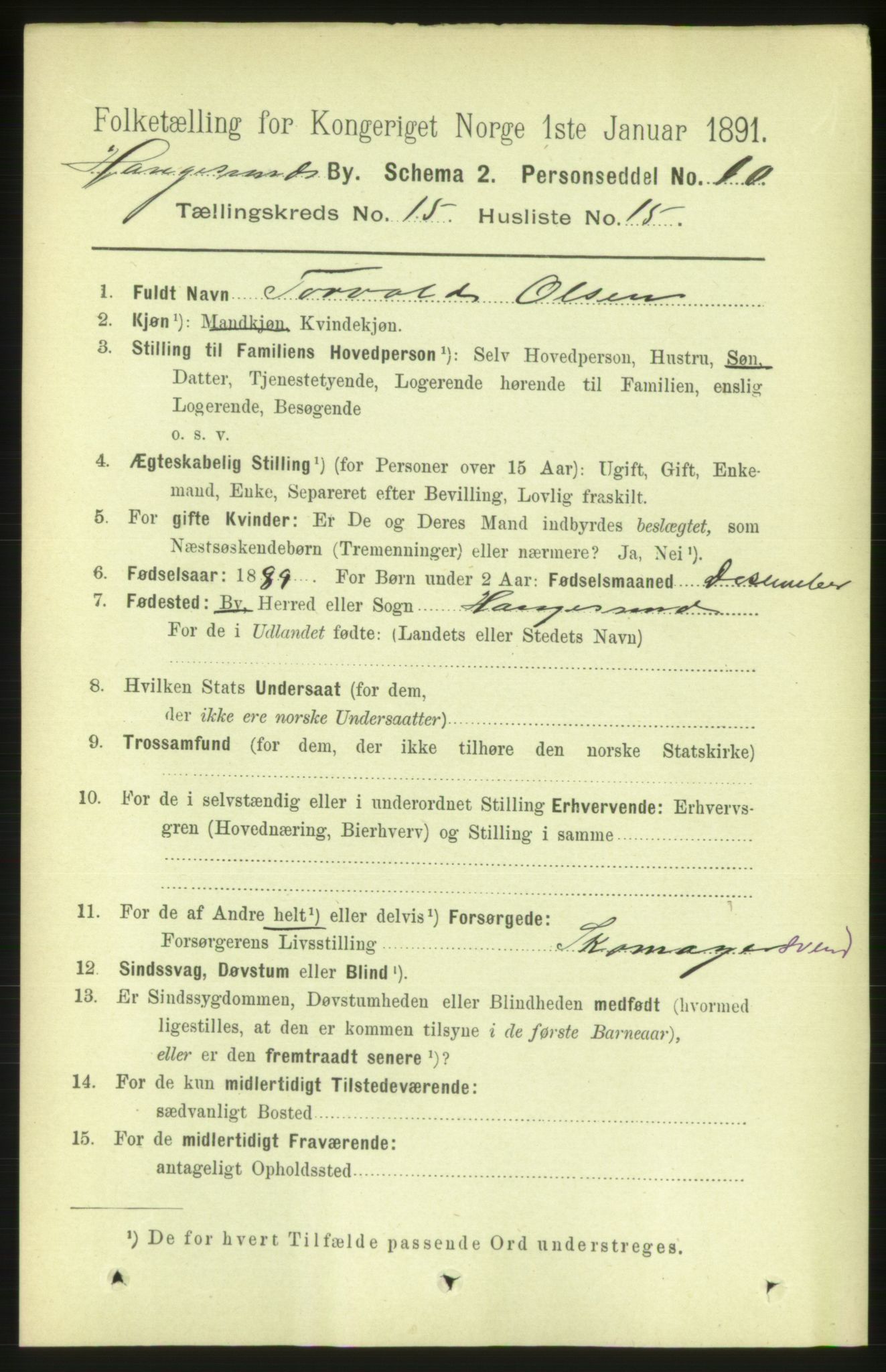 RA, 1891 census for 1106 Haugesund, 1891, p. 5060