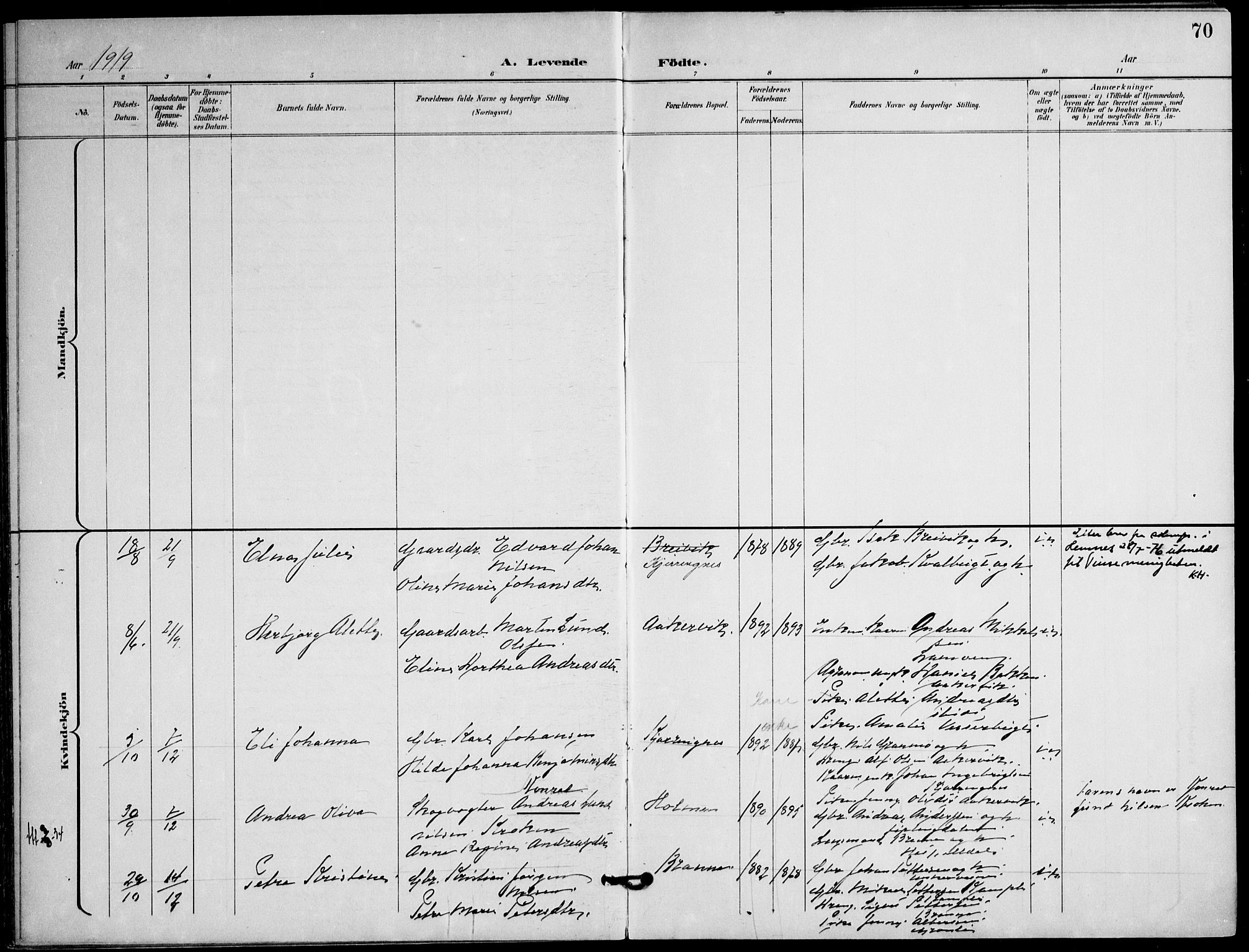 Ministerialprotokoller, klokkerbøker og fødselsregistre - Nordland, AV/SAT-A-1459/823/L0326: Parish register (official) no. 823A03, 1899-1919, p. 70