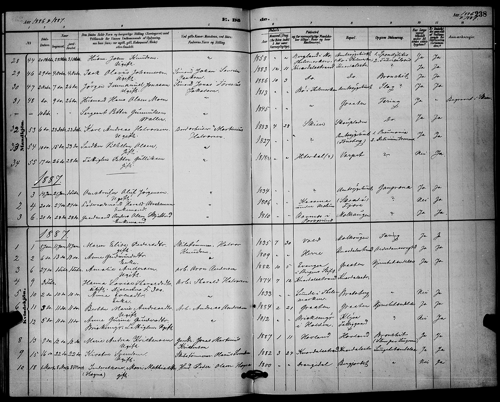Solum kirkebøker, SAKO/A-306/G/Ga/L0007: Parish register (copy) no. I 7, 1884-1898, p. 238