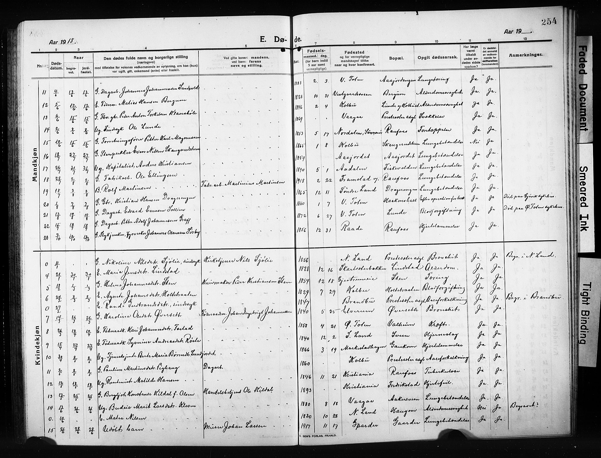 Vestre Toten prestekontor, SAH/PREST-108/H/Ha/Hab/L0012: Parish register (copy) no. 12, 1909-1928, p. 254