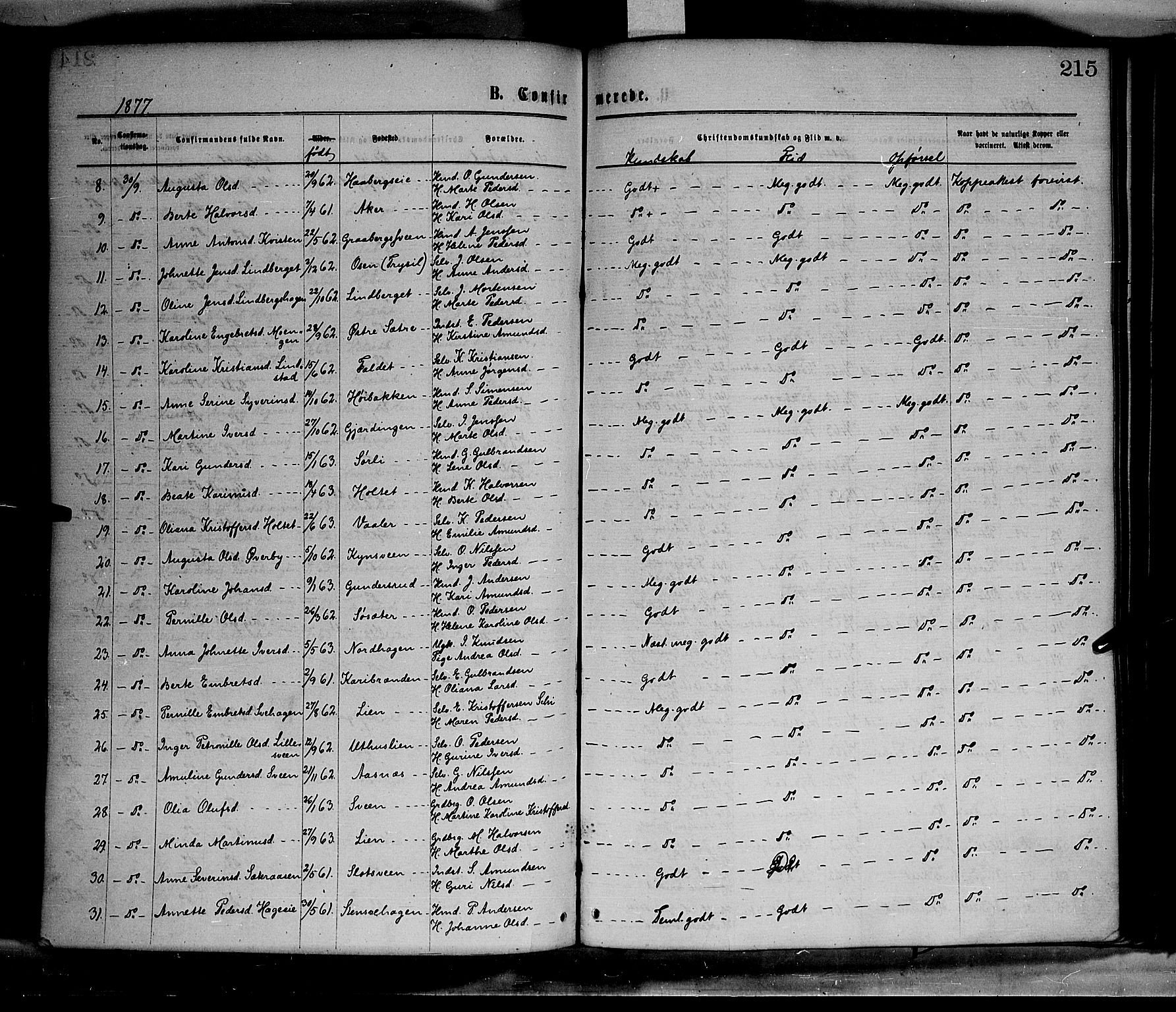 Elverum prestekontor, AV/SAH-PREST-044/H/Ha/Haa/L0011: Parish register (official) no. 11, 1869-1879, p. 215