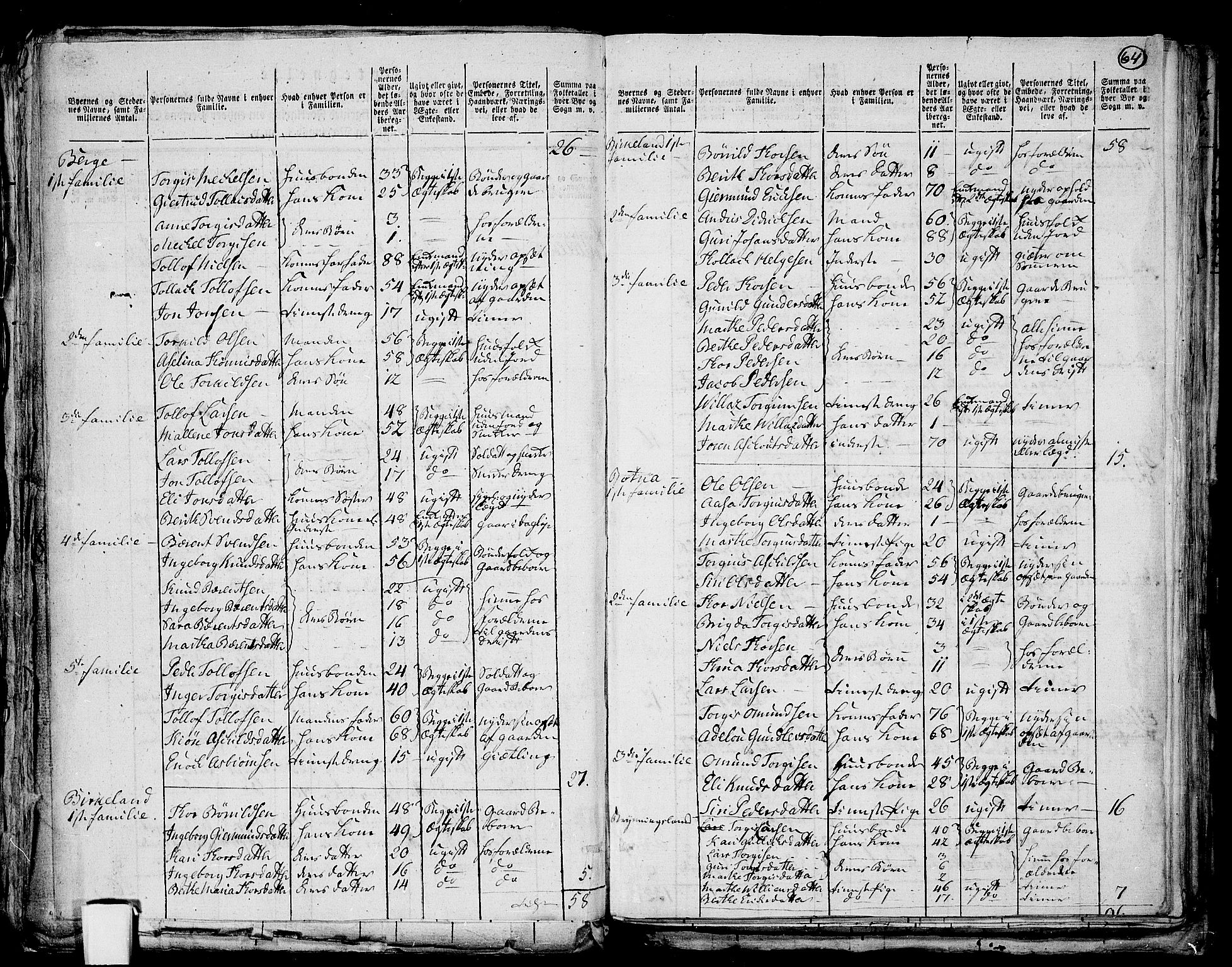 RA, 1801 census for 1115P Helleland, 1801, p. 63b-64a