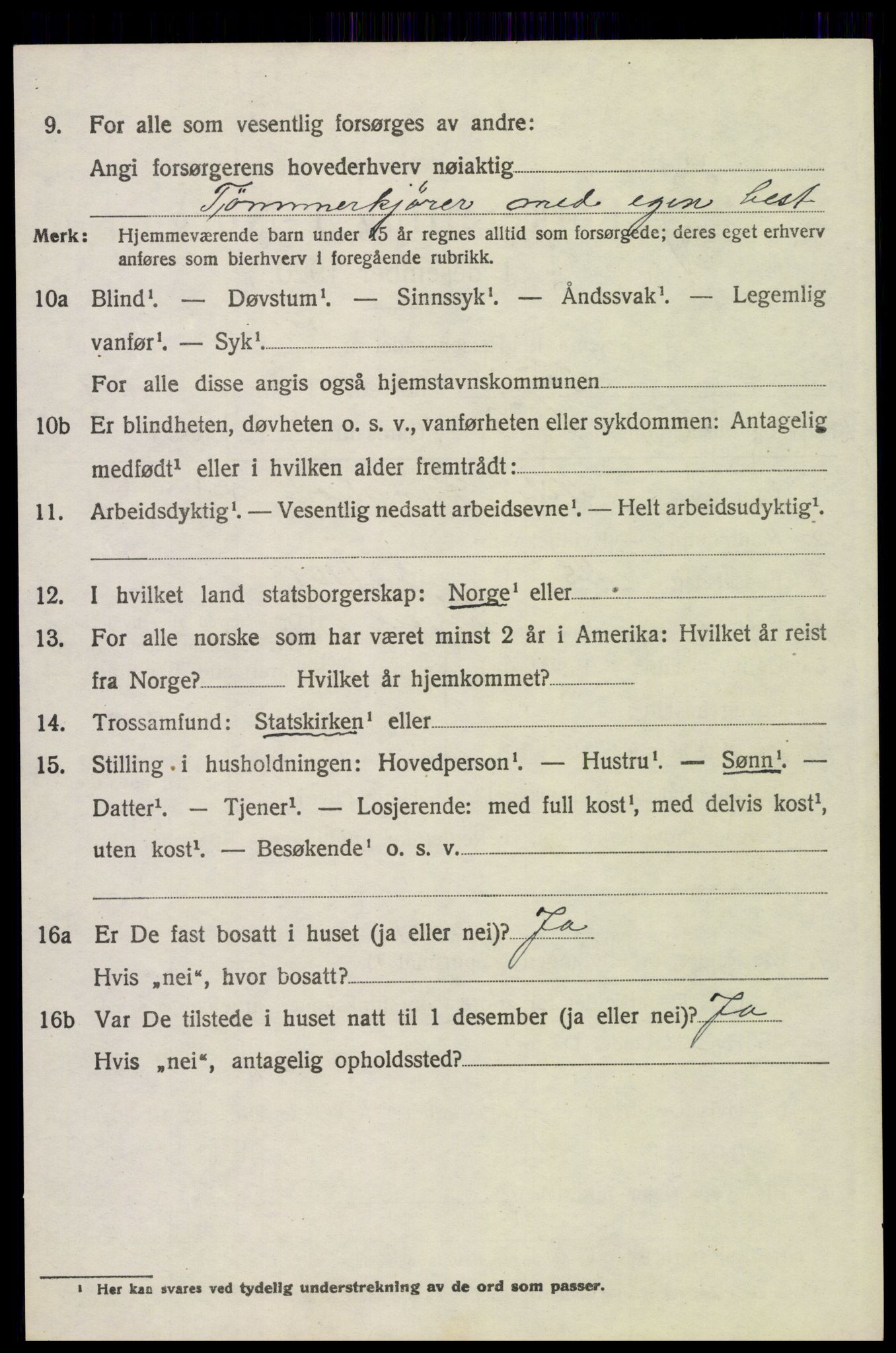 SAH, 1920 census for Trysil, 1920, p. 6656