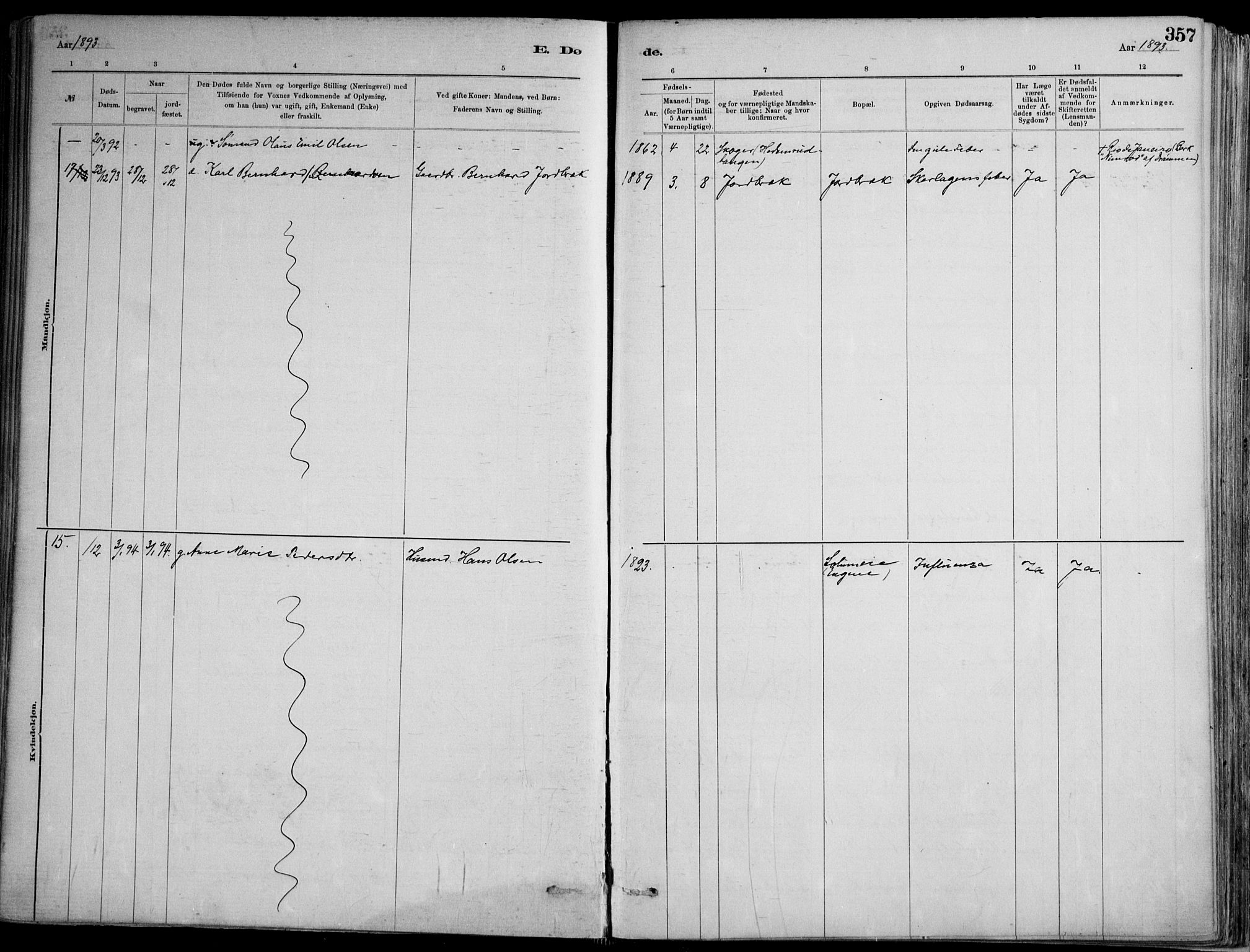 Skoger kirkebøker, SAKO/A-59/F/Fa/L0006: Parish register (official) no. I 6, 1885-1910, p. 357
