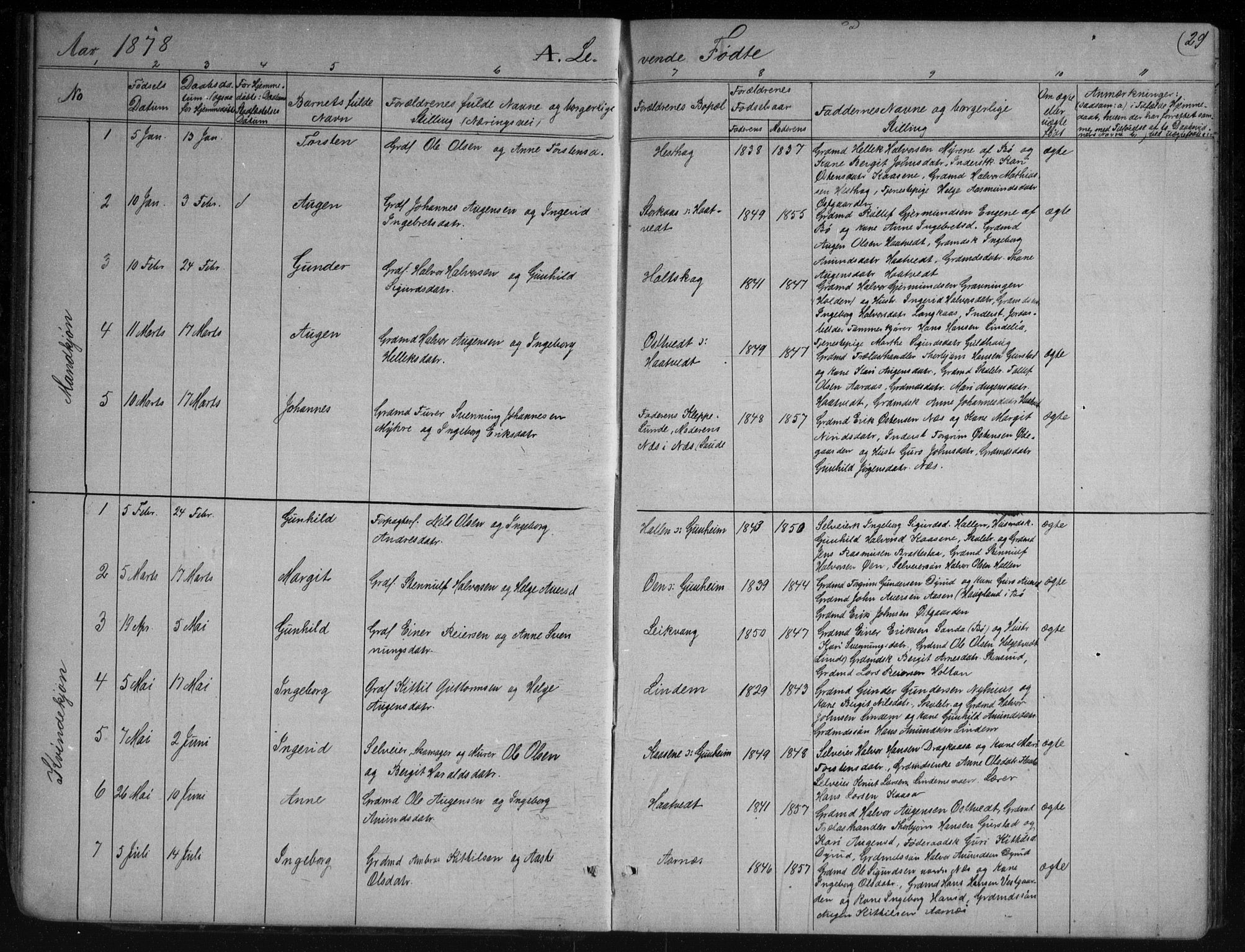 Sauherad kirkebøker, AV/SAKO-A-298/G/Gb/L0002: Parish register (copy) no. II 2, 1866-1897, p. 29