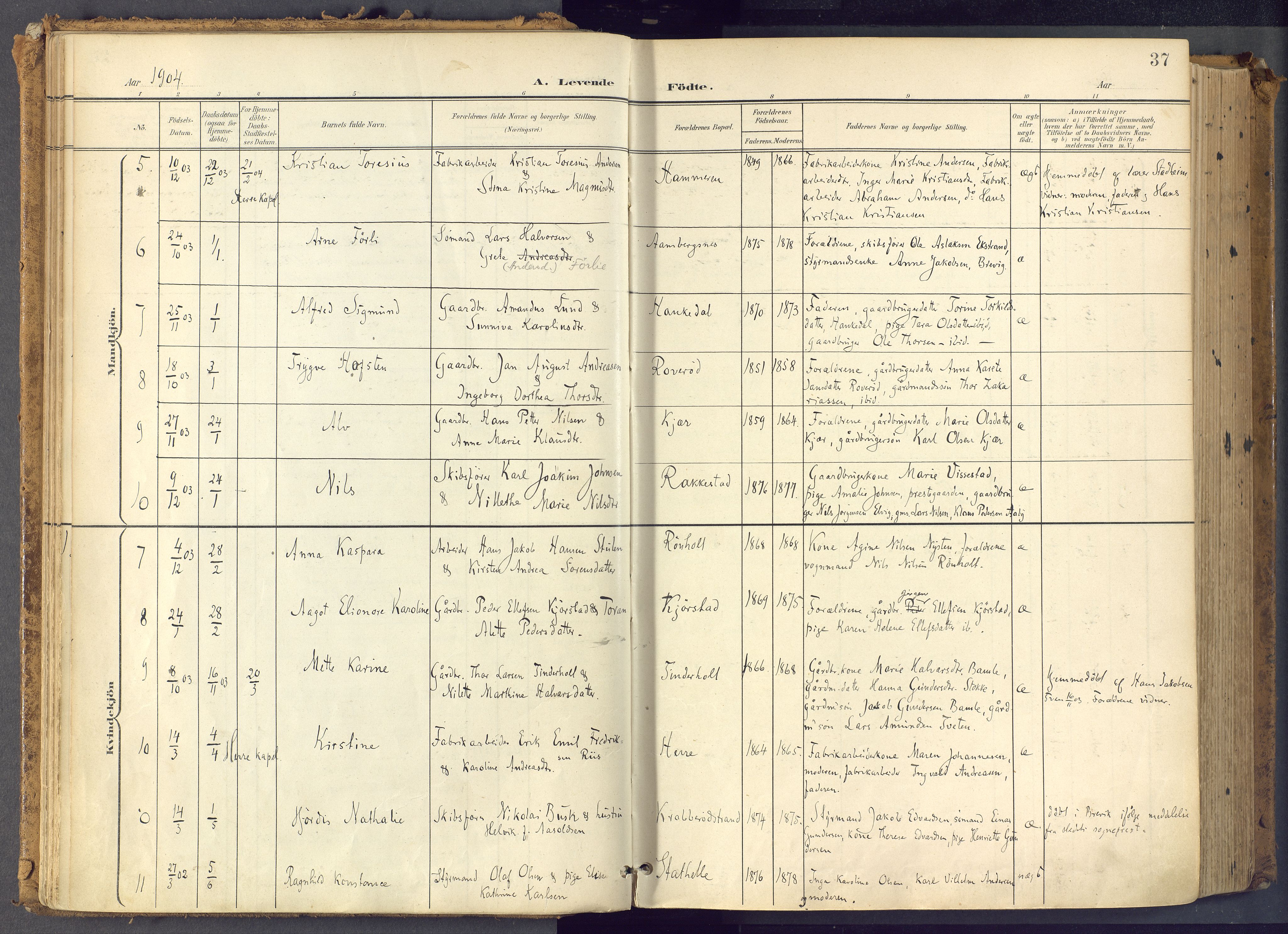 Bamble kirkebøker, SAKO/A-253/F/Fa/L0009: Parish register (official) no. I 9, 1901-1917, p. 37