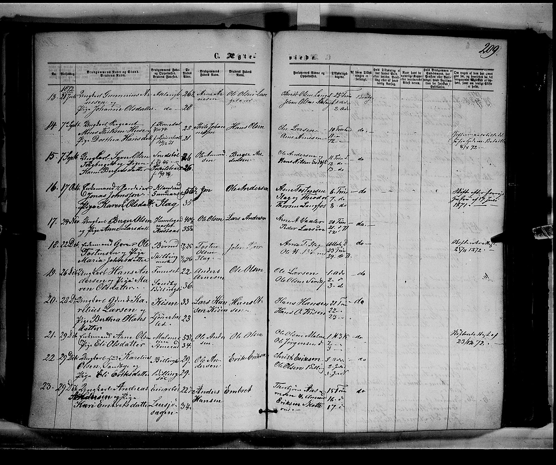 Eidskog prestekontor, AV/SAH-PREST-026/H/Ha/Haa/L0002: Parish register (official) no. 2, 1867-1878, p. 209