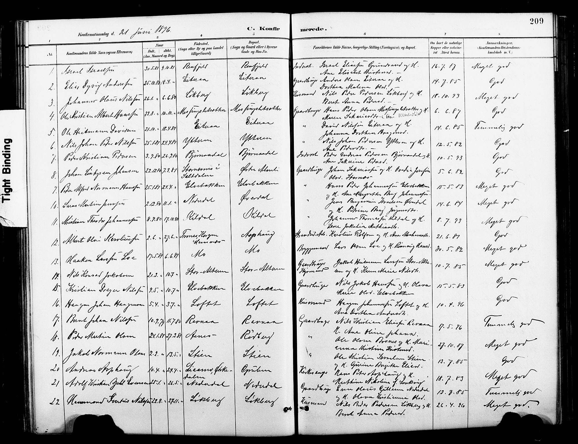 Ministerialprotokoller, klokkerbøker og fødselsregistre - Nordland, AV/SAT-A-1459/827/L0421: Parish register (copy) no. 827C10, 1887-1906, p. 209