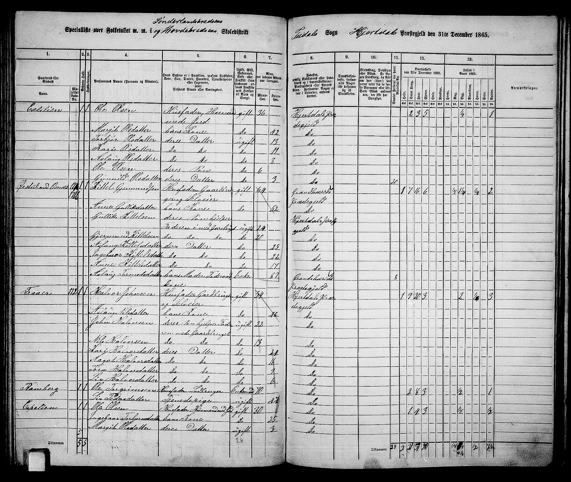 RA, 1865 census for Hjartdal, 1865, p. 100