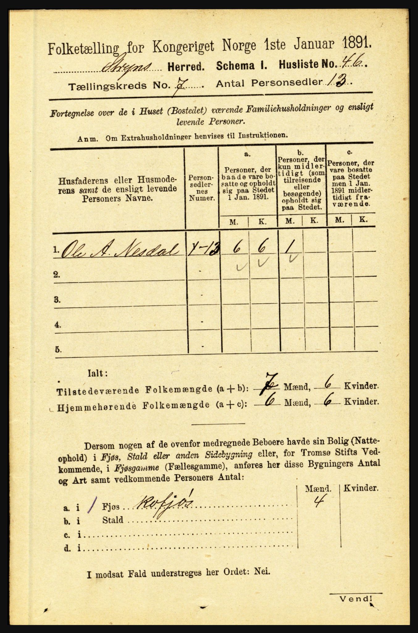 RA, 1891 census for 1448 Stryn, 1891, p. 2818