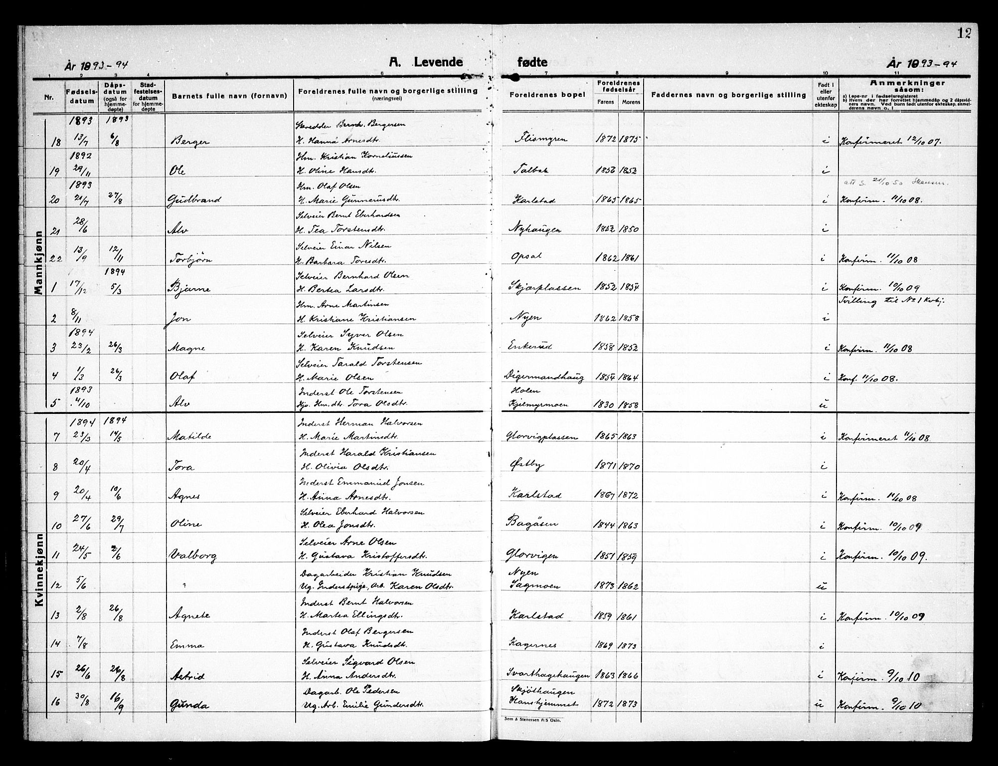 Åsnes prestekontor, AV/SAH-PREST-042/H/Ha/Haa/L0000D: Parish register (official) no. 0B, 1890-1929, p. 12