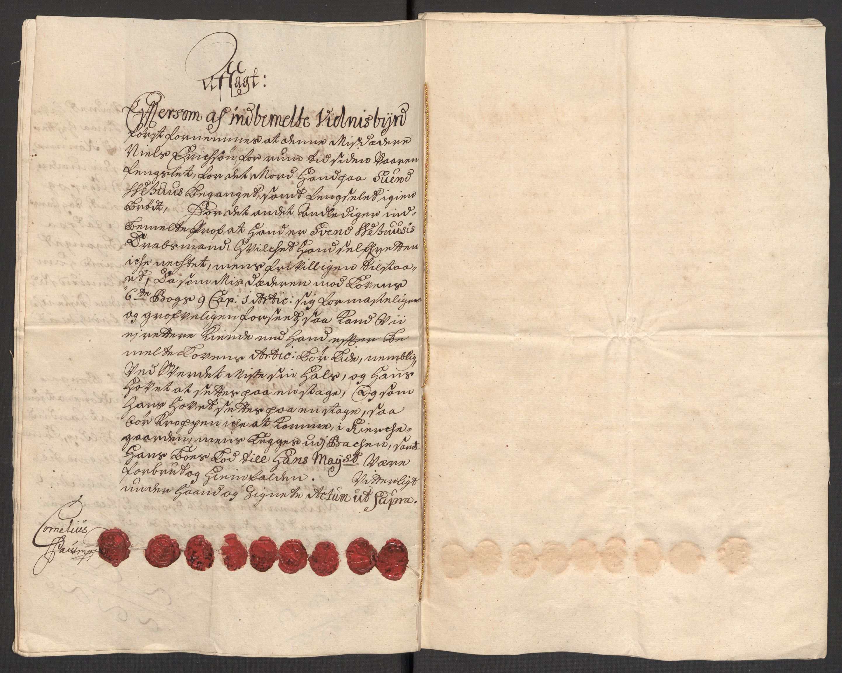 Rentekammeret inntil 1814, Reviderte regnskaper, Fogderegnskap, AV/RA-EA-4092/R36/L2114: Fogderegnskap Øvre og Nedre Telemark og Bamble, 1705, p. 218