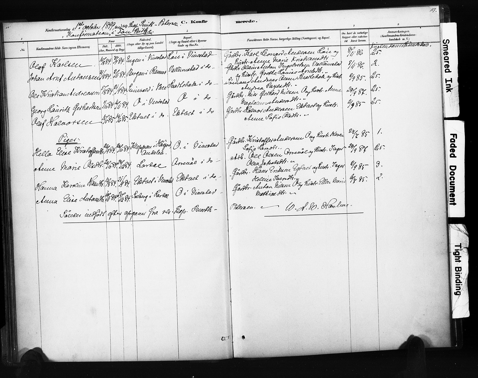 Ramnes kirkebøker, SAKO/A-314/F/Fc/L0001: Parish register (official) no. III 1, 1878-1899, p. 116-117