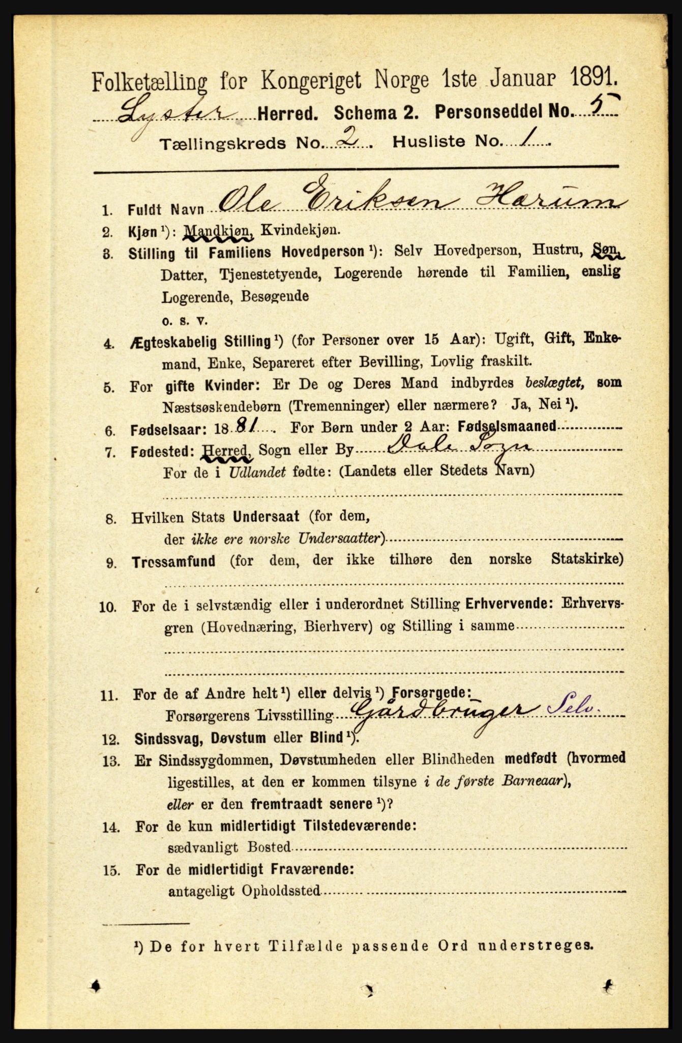 RA, 1891 census for 1426 Luster, 1891, p. 843