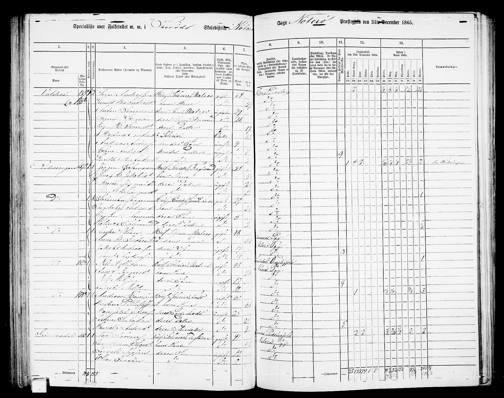 RA, 1865 census for Nøtterøy, 1865, p. 119