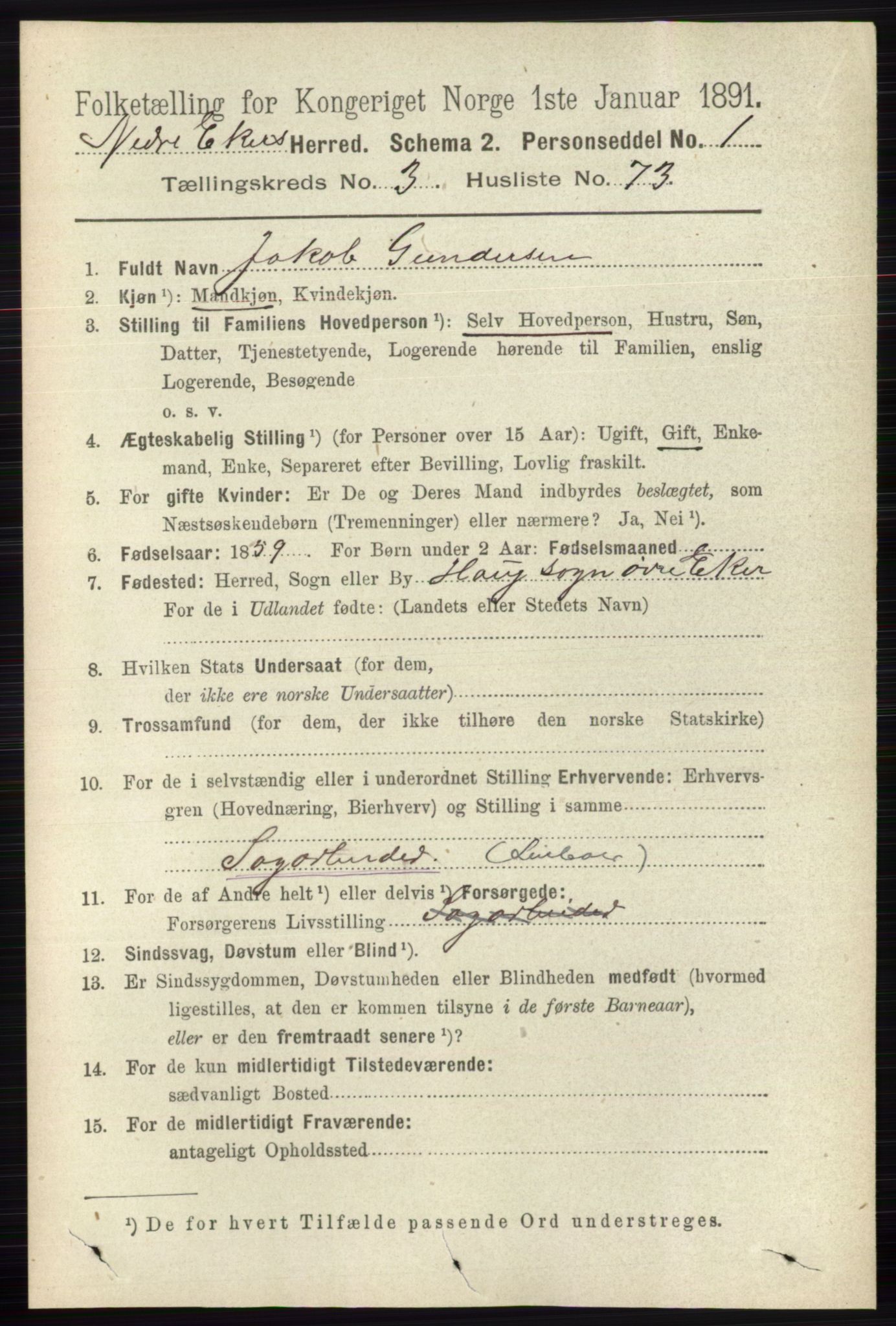 RA, 1891 census for 0625 Nedre Eiker, 1891, p. 1584