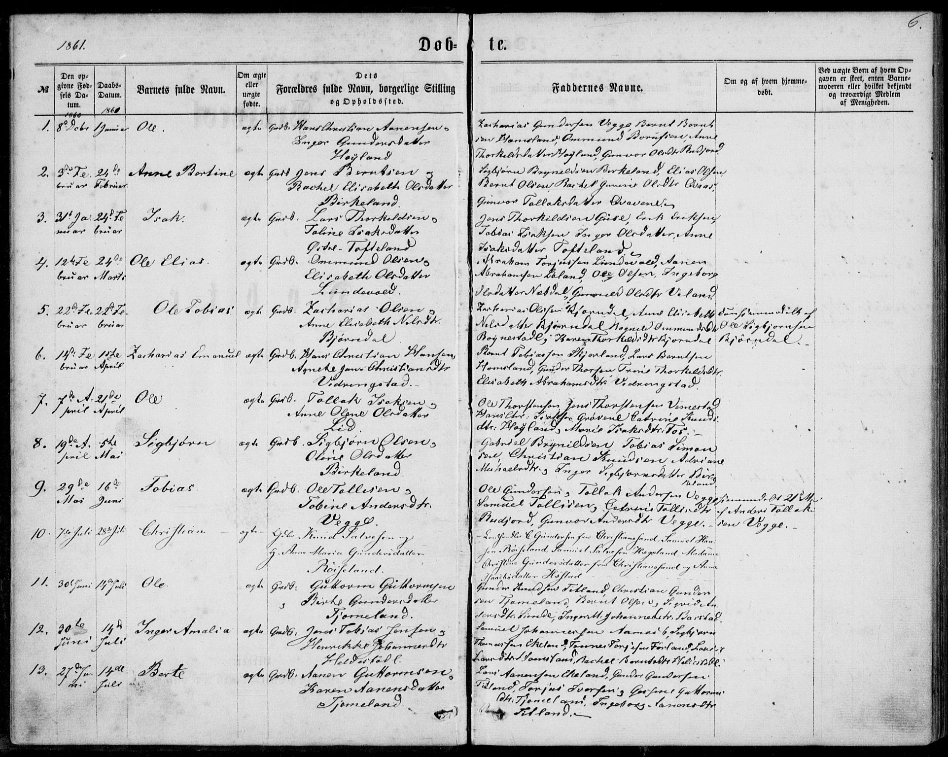 Lyngdal sokneprestkontor, AV/SAK-1111-0029/F/Fa/Fab/L0002: Parish register (official) no. A 2, 1861-1878, p. 6