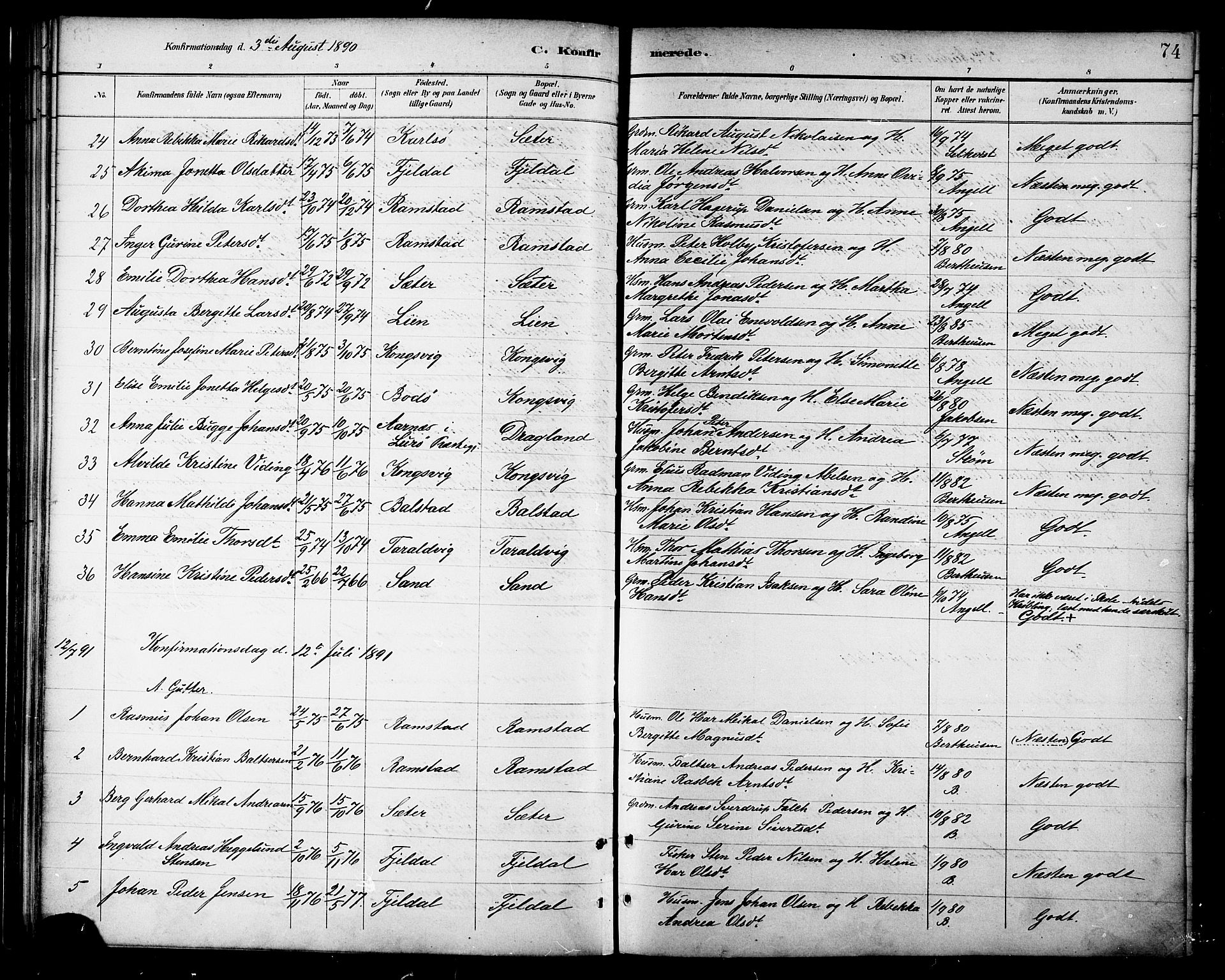 Ministerialprotokoller, klokkerbøker og fødselsregistre - Nordland, SAT/A-1459/865/L0924: Parish register (official) no. 865A02, 1885-1896, p. 74