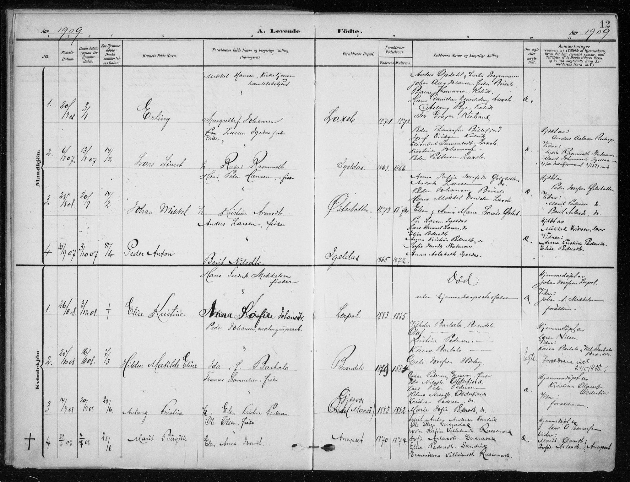 Kistrand/Porsanger sokneprestembete, SATØ/S-1351/H/Ha/L0014.kirke: Parish register (official) no. 14, 1908-1917, p. 12