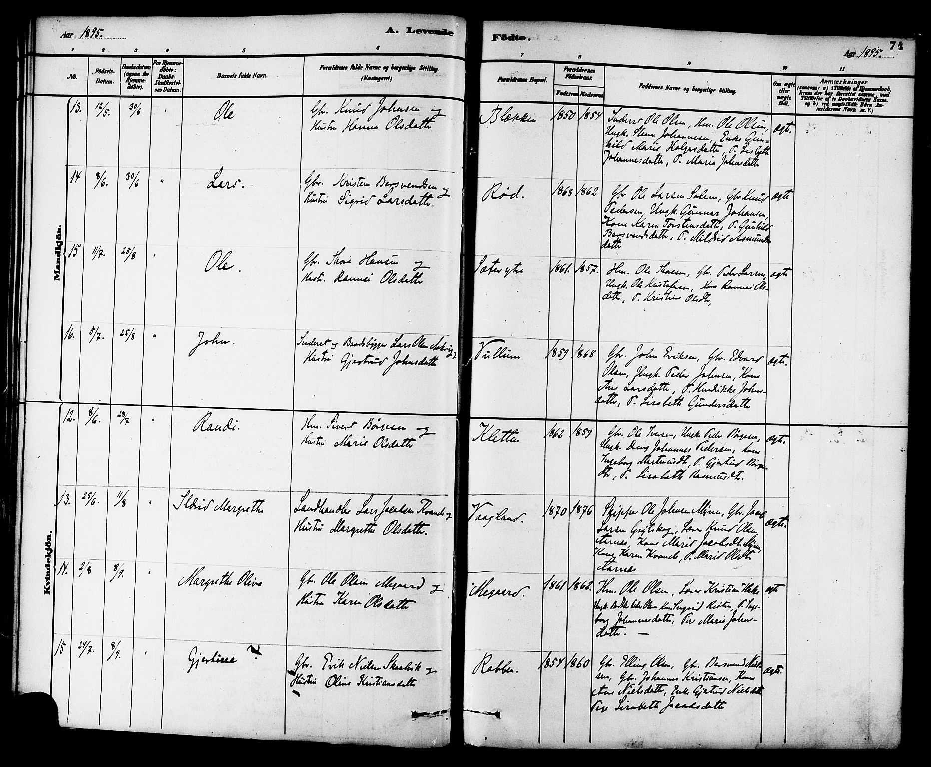 Ministerialprotokoller, klokkerbøker og fødselsregistre - Møre og Romsdal, AV/SAT-A-1454/576/L0885: Parish register (official) no. 576A03, 1880-1898, p. 74