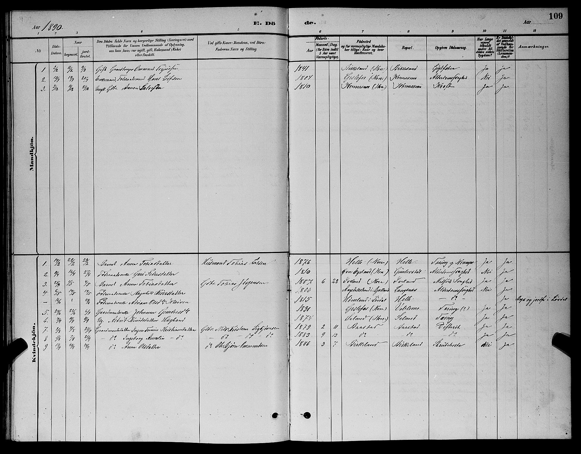 Nord-Audnedal sokneprestkontor, AV/SAK-1111-0032/F/Fb/Fba/L0003: Parish register (copy) no. B 3, 1881-1900, p. 109